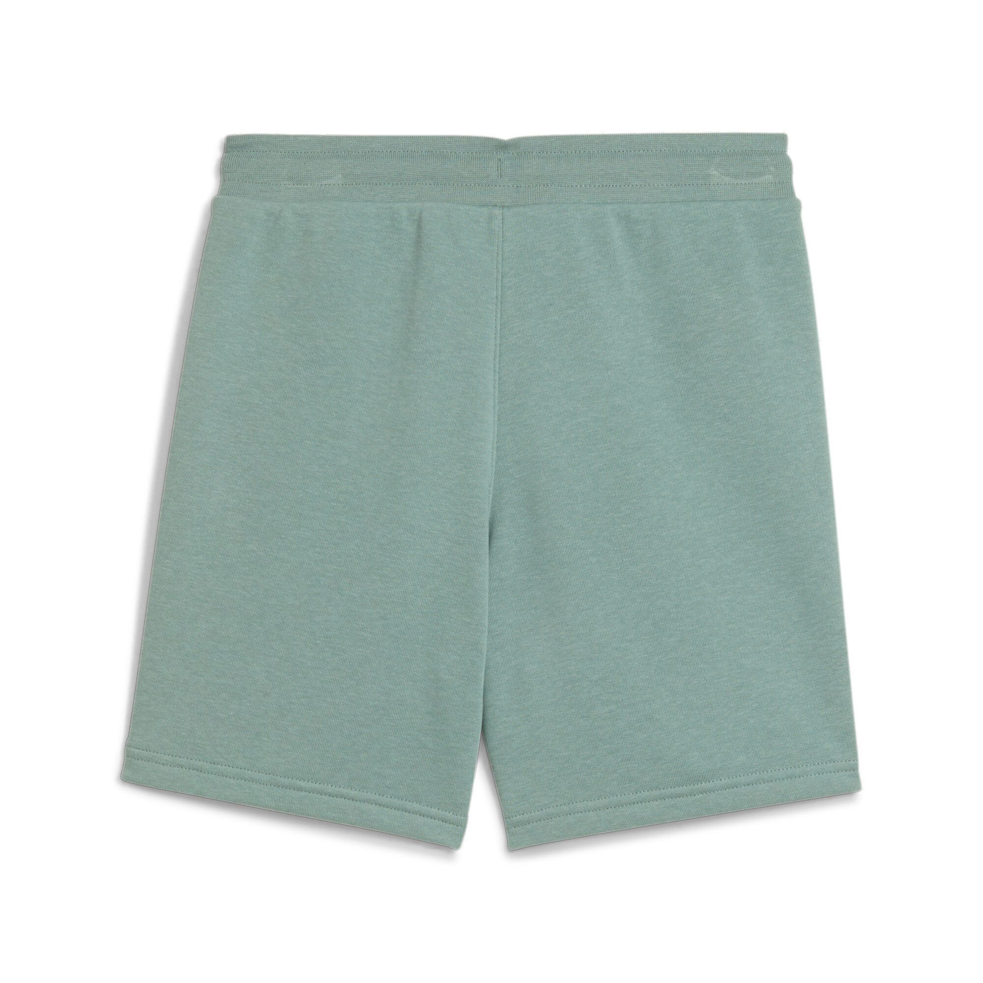 PUMA Trainingsshorts CLASS SHORTS TR B günstig online kaufen