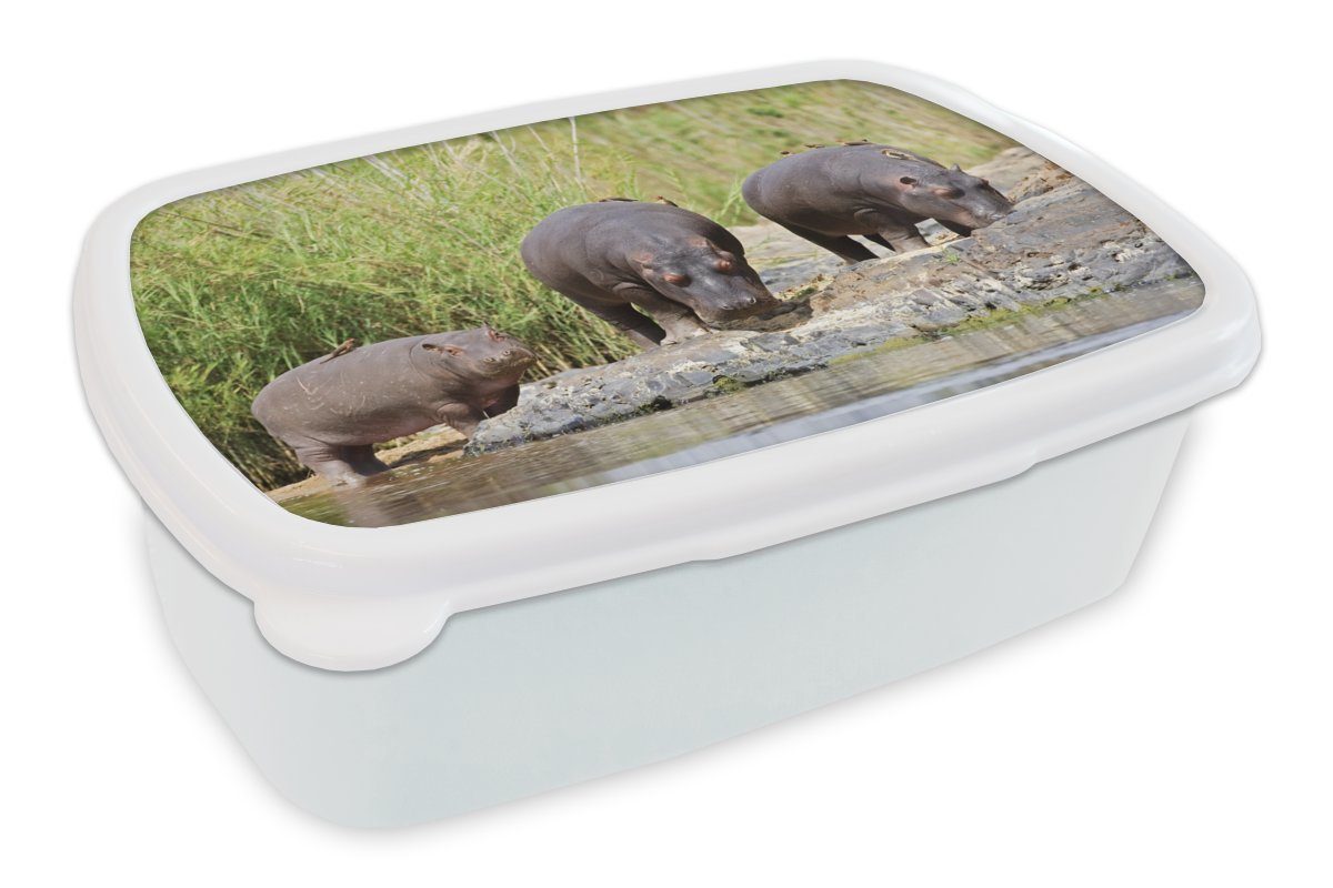 Brotdose, Lunchbox Erwachsene, Kunststoff, für und MuchoWow Mädchen Wasser Südafrika, Jungs - und Flusspferde weiß - Brotbox (2-tlg), Kinder für