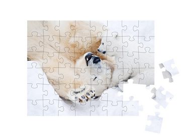 puzzleYOU Puzzle Eisbärin spielt mit ihrem kleinen Jungen im Schnee, 48 Puzzleteile, puzzleYOU-Kollektionen Bären, Eisbären, Raubtiere, Tiere des Nordens