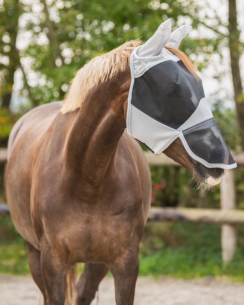 QHP Fliegenmasken Fliegenmaske Solaire