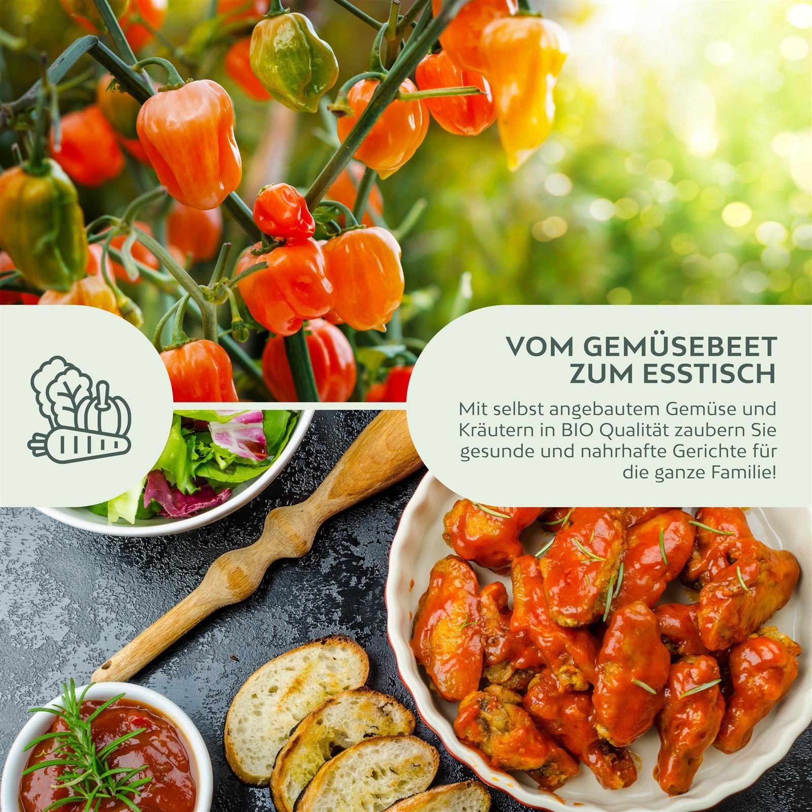 Growgreens Gemüsesamen BIO Chili Samen (Habanero Orange, 250.000 Scoville) -Saatgut (10 Korn), Chili