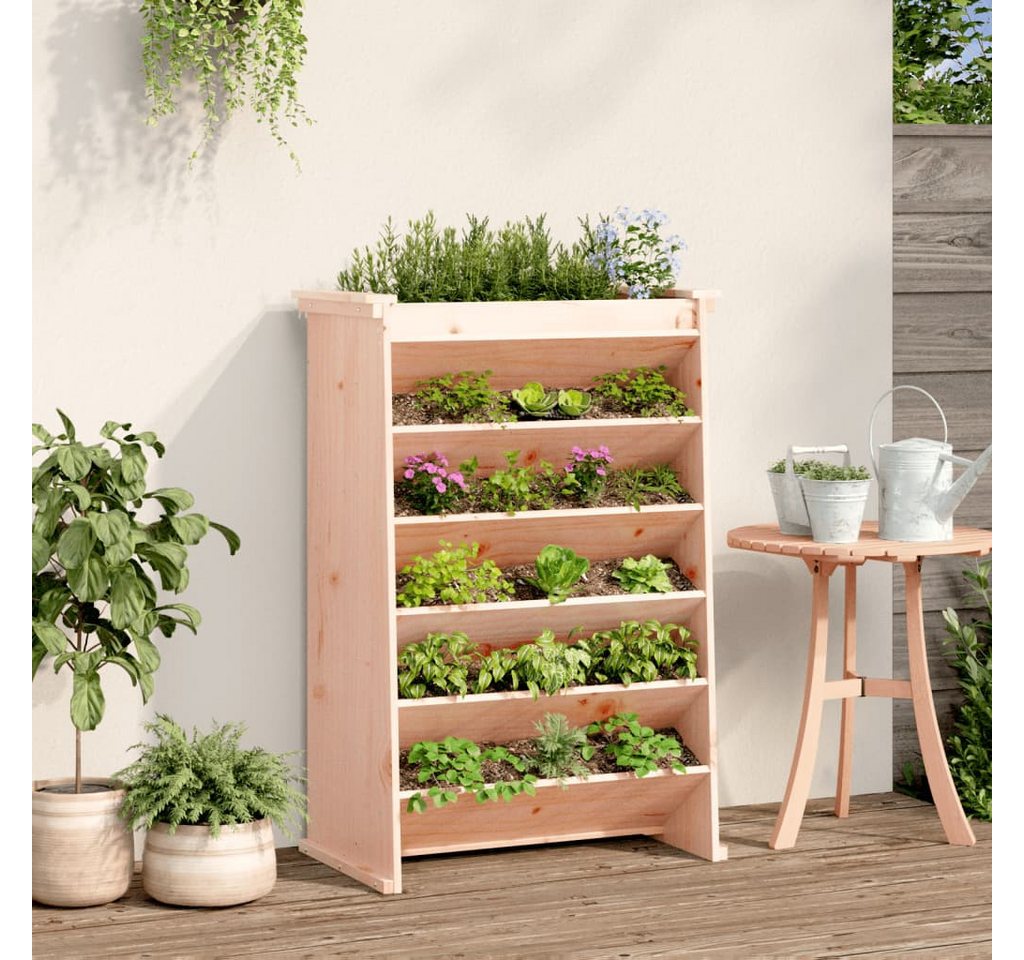 Thumbnail - vidaXL Blumentopf Vertikalbeet mit 6 Fächern 69x40x101,5 cm Massivholz Douglasie (1 St)