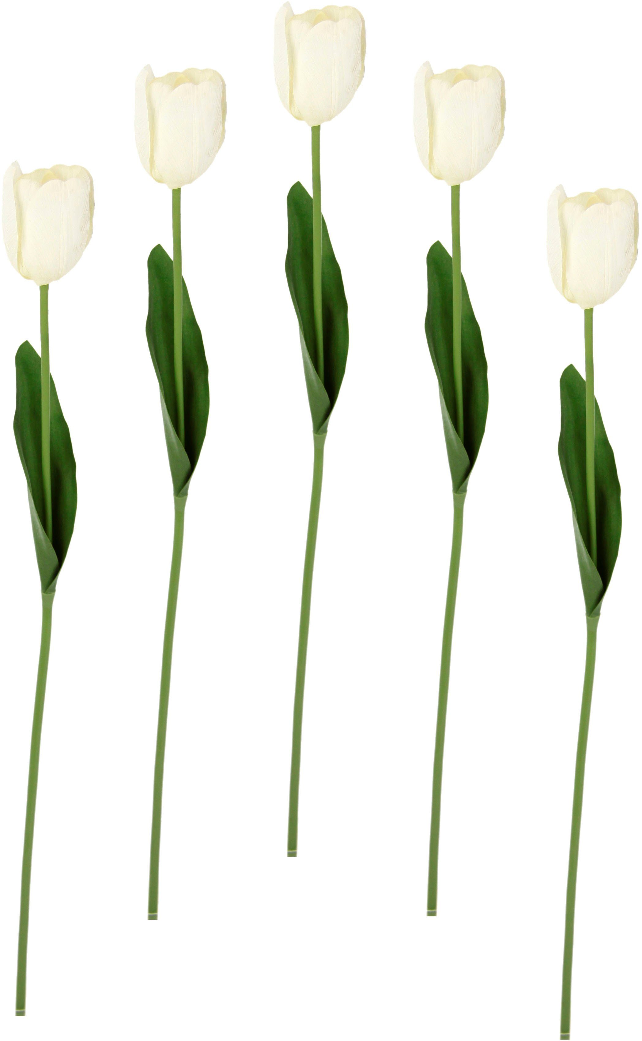 Höhe Stielblume I.GE.A., Real 67 cm, Kunstblumen, Tulpenknospen, Touch Tulpen, künstliche weiß 5er Set Kunstblume