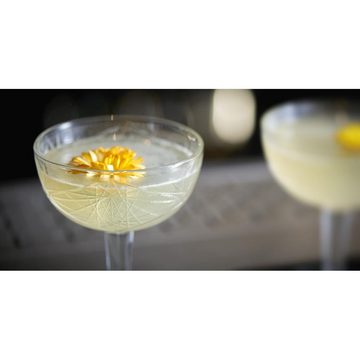 LIBBEY Cocktailglas Cocktailglas Hobstar