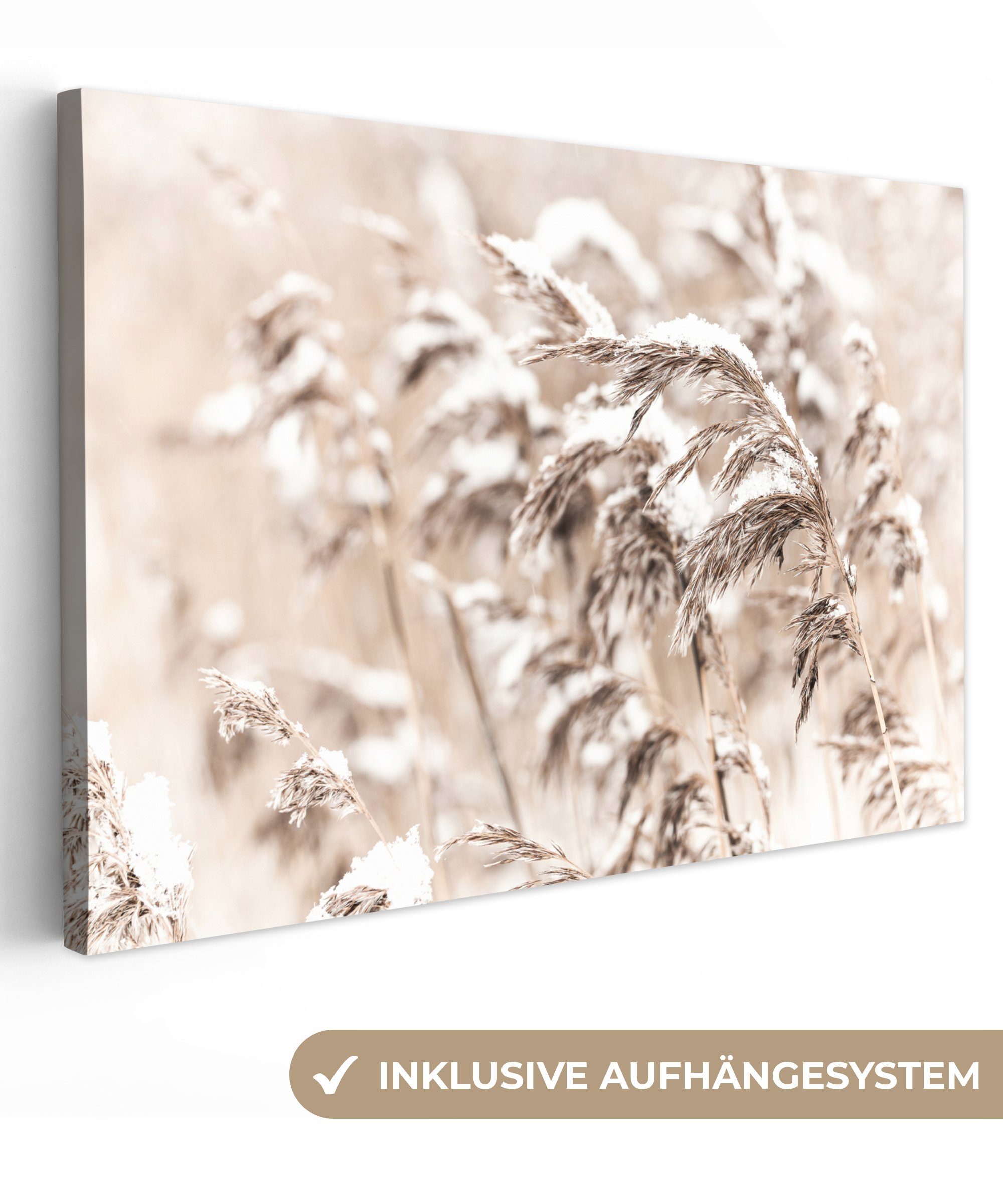 OneMillionCanvasses® Leinwandbild Winter - Pflanzen - Schnee - Natur - Jahreszeiten, (1 St), Wandbild für alle Wohnbereiche, Gemälde, XXL, großes, 120x80 cm