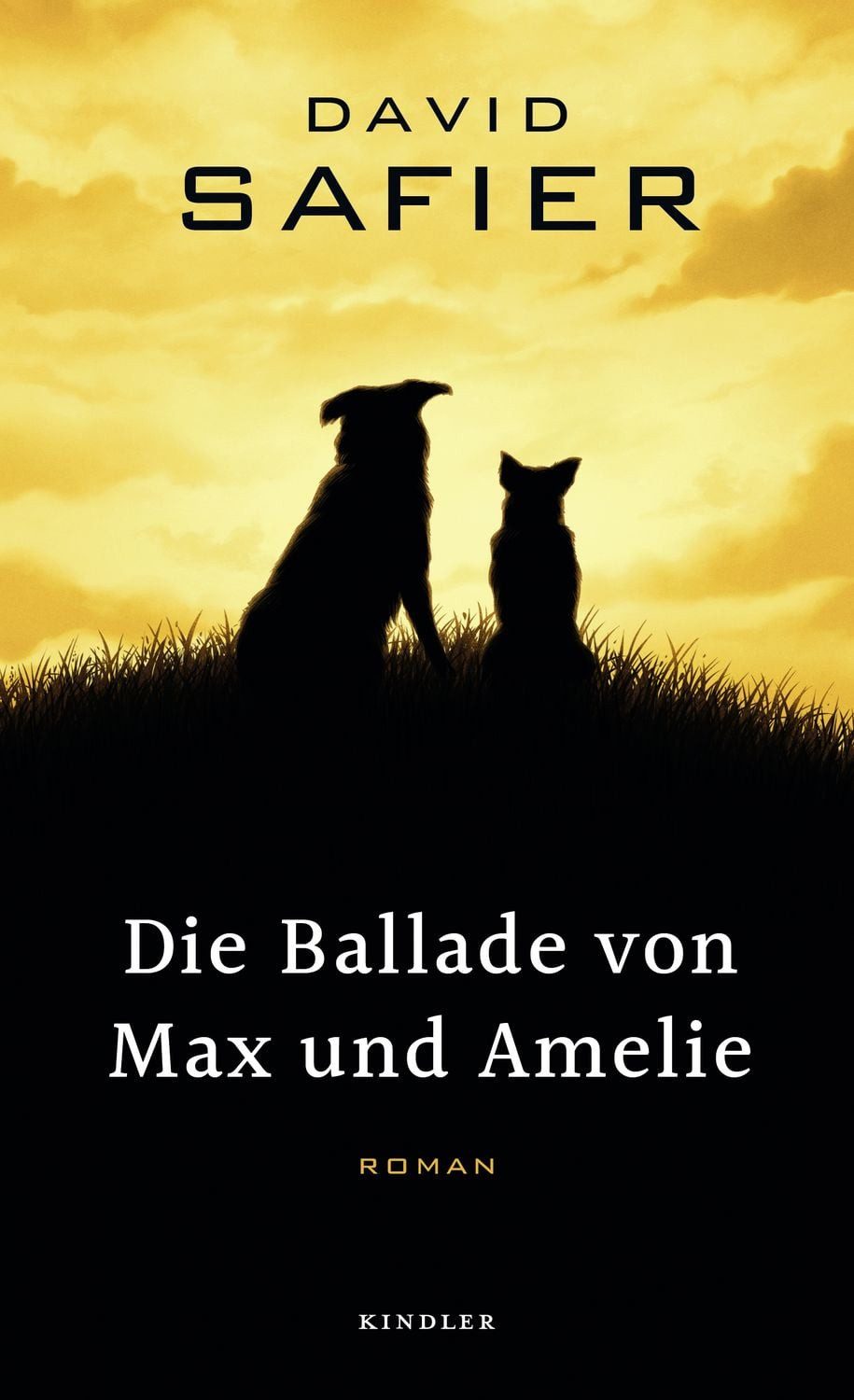 Die Ballade von Max und Amelie / David Safier