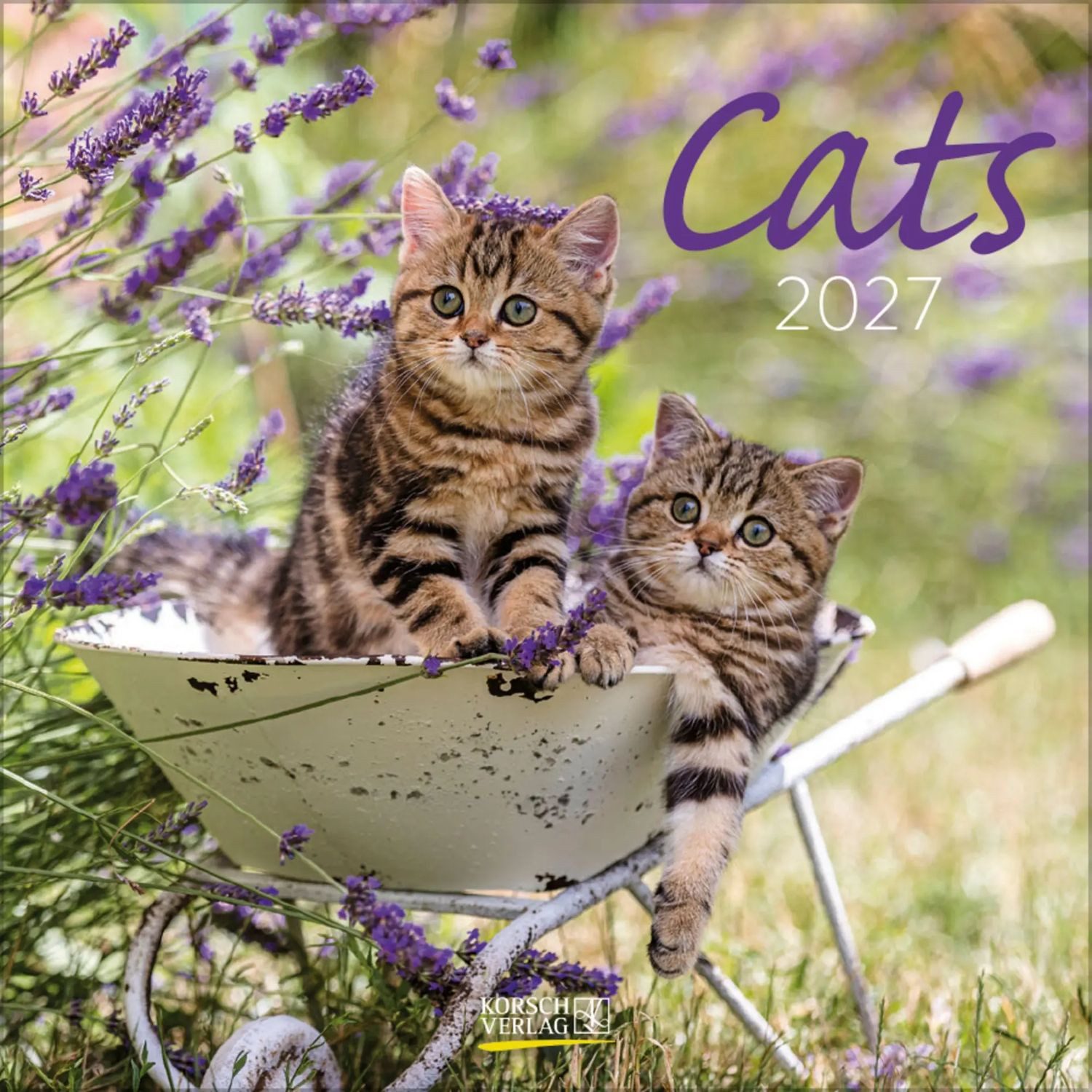Korsch Verlag Wandkalender Cats 2027