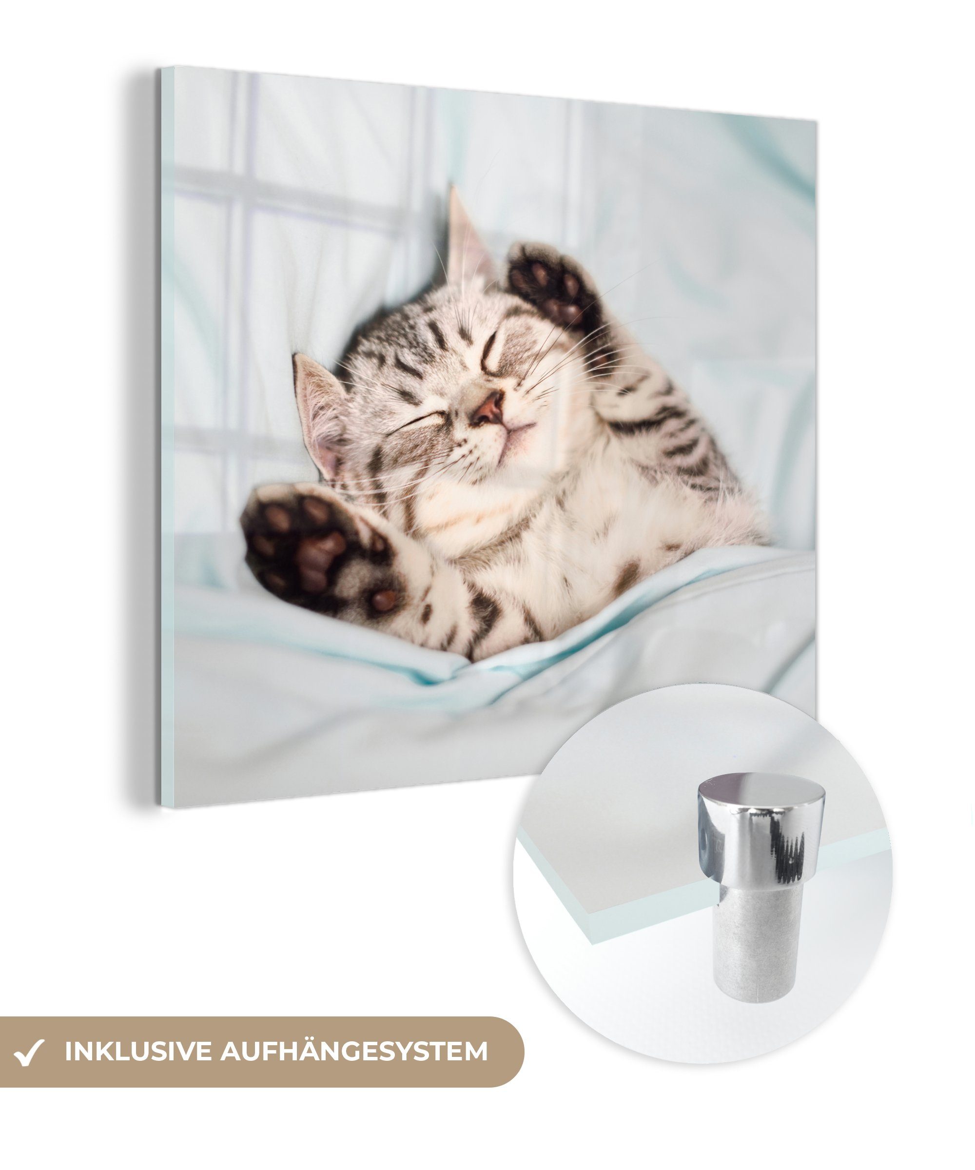 MuchoWow Acrylglasbild Kätzchen - Schlafen - Bett, (1 St), Glasbilder - Bilder auf Glas Wandbild - Foto auf Glas - Wanddekoration
