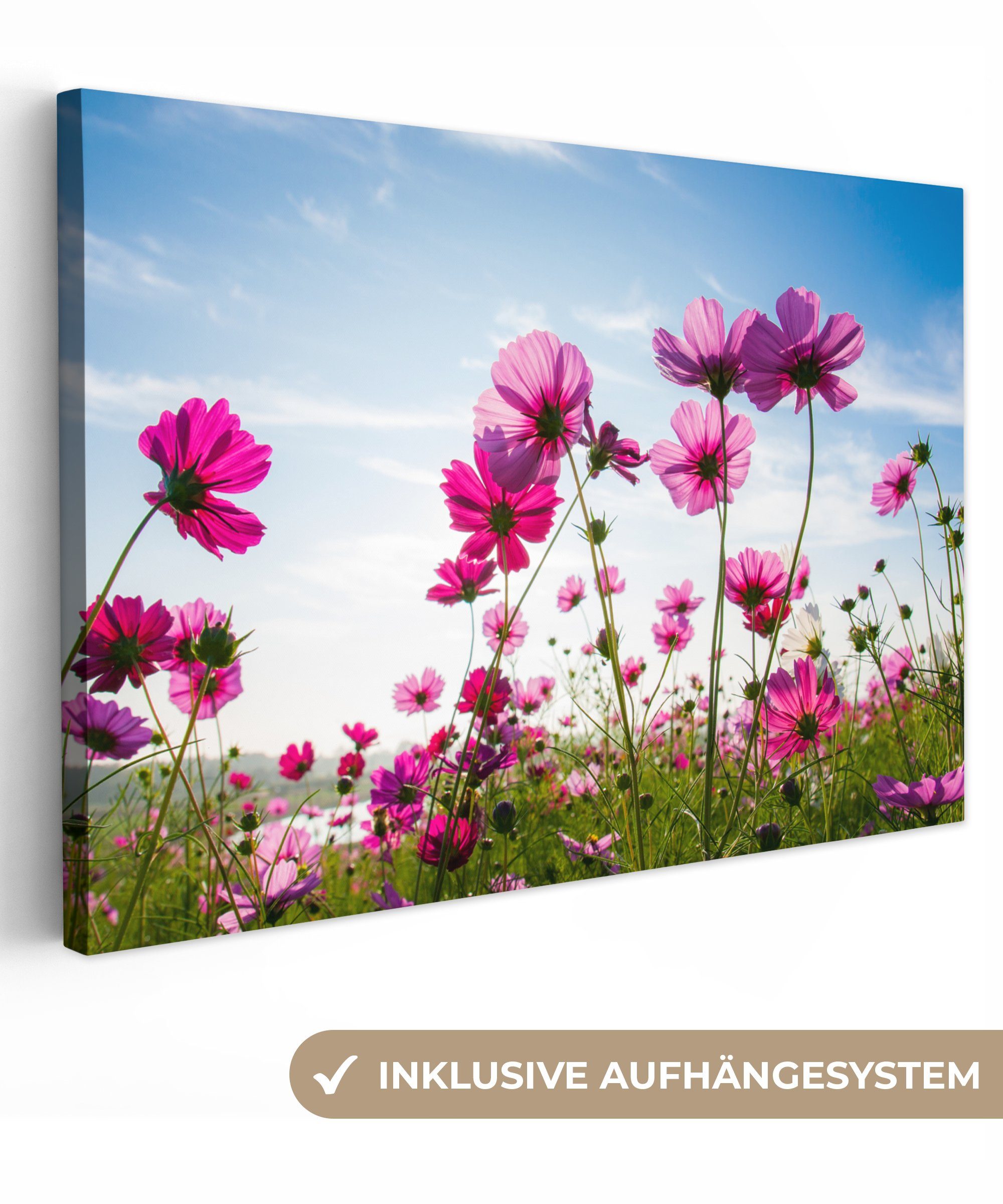OneMillionCanvasses® Leinwandbild Blumen - Rosa - günstig online kaufen