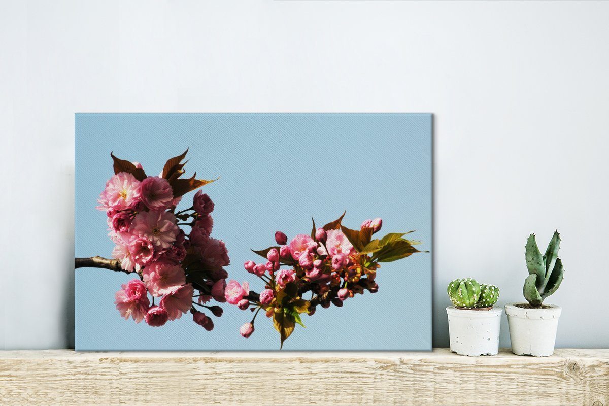 Wanddeko, Kirschblüte, Leinwandbilder, cm Leinwandbild St), Aufhängefertig, OneMillionCanvasses® Wandbild 30x20 (1