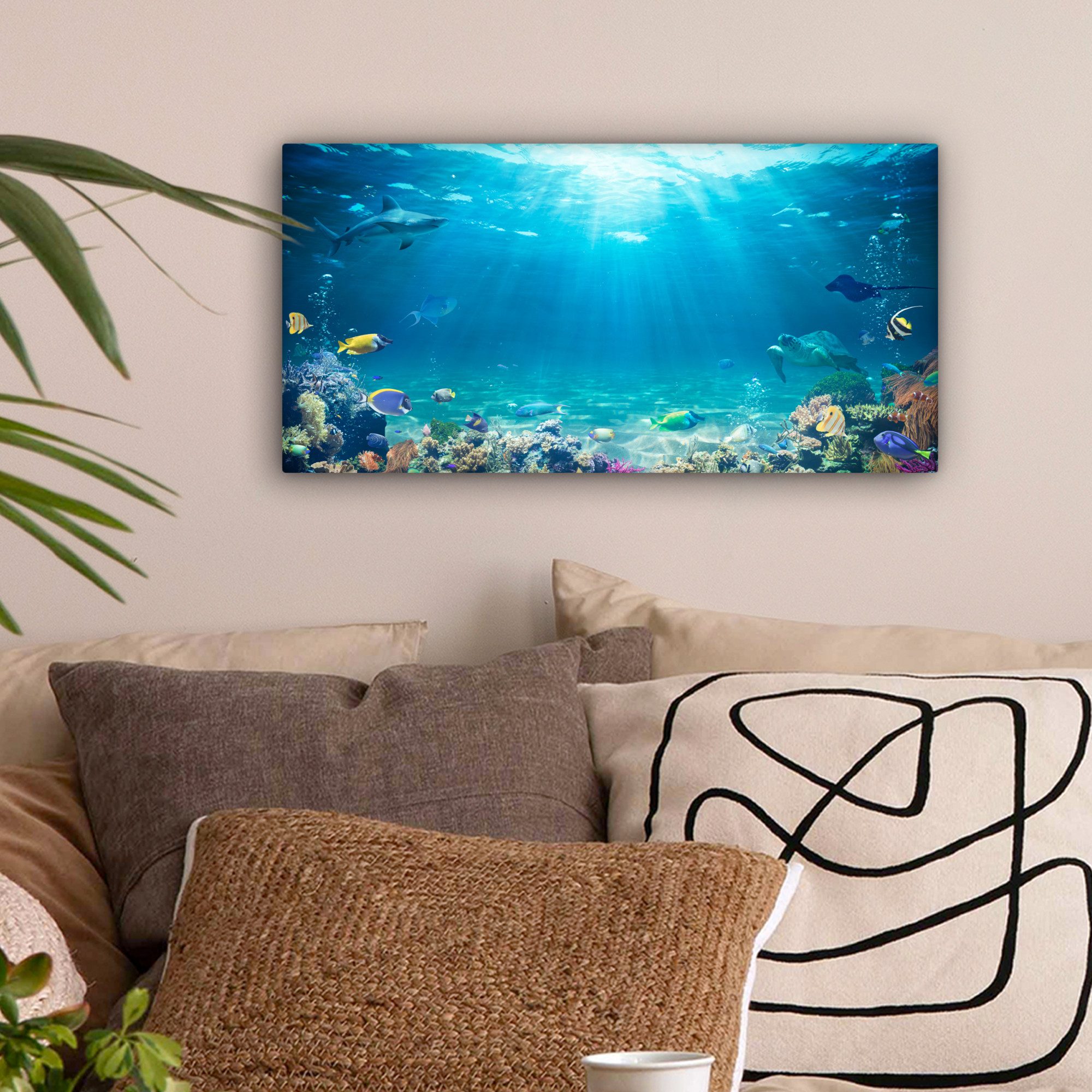 OneMillionCanvasses® Leinwandbild Panorama Unterwasserwelt - Meerestiere günstig online kaufen