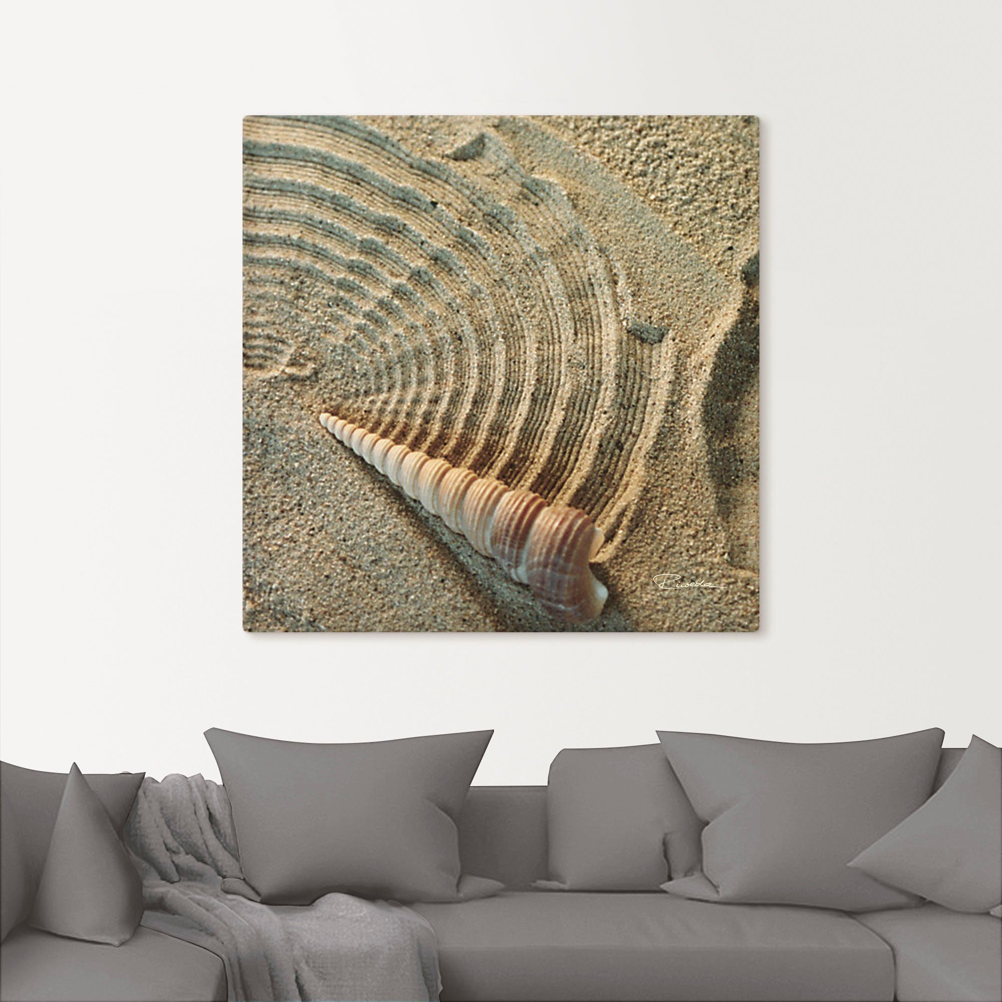 Poster Wandbild Wandaufkleber Muschel in (1 IV Zen Zen St), Größen Sand, Alubild, - als Artland oder versch. im Leinwandbild,