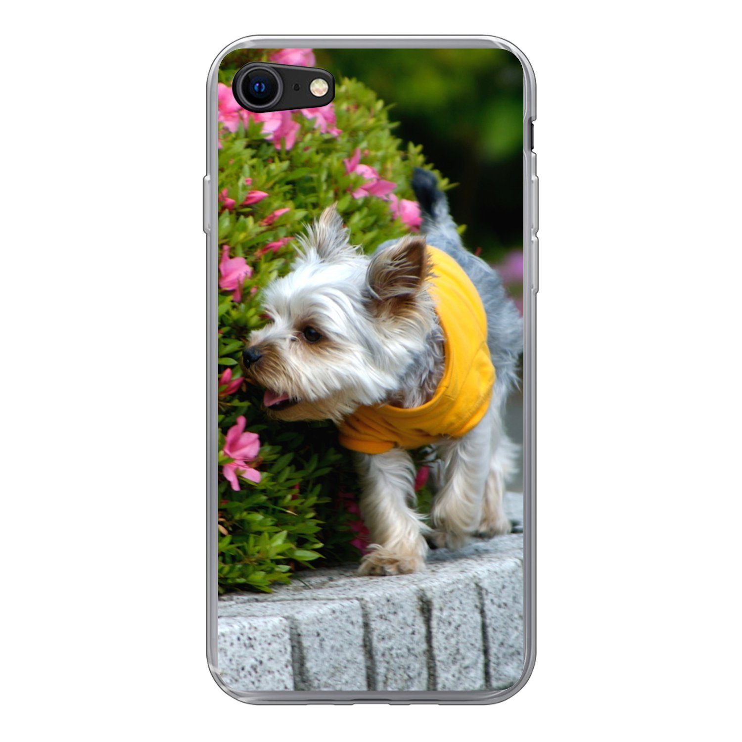 MuchoWow Handyhülle »Ein Yorkshire Terrier läuft an bunten Blumen vorbei«,  Handyhülle Telefonhülle Apple iPhone 7