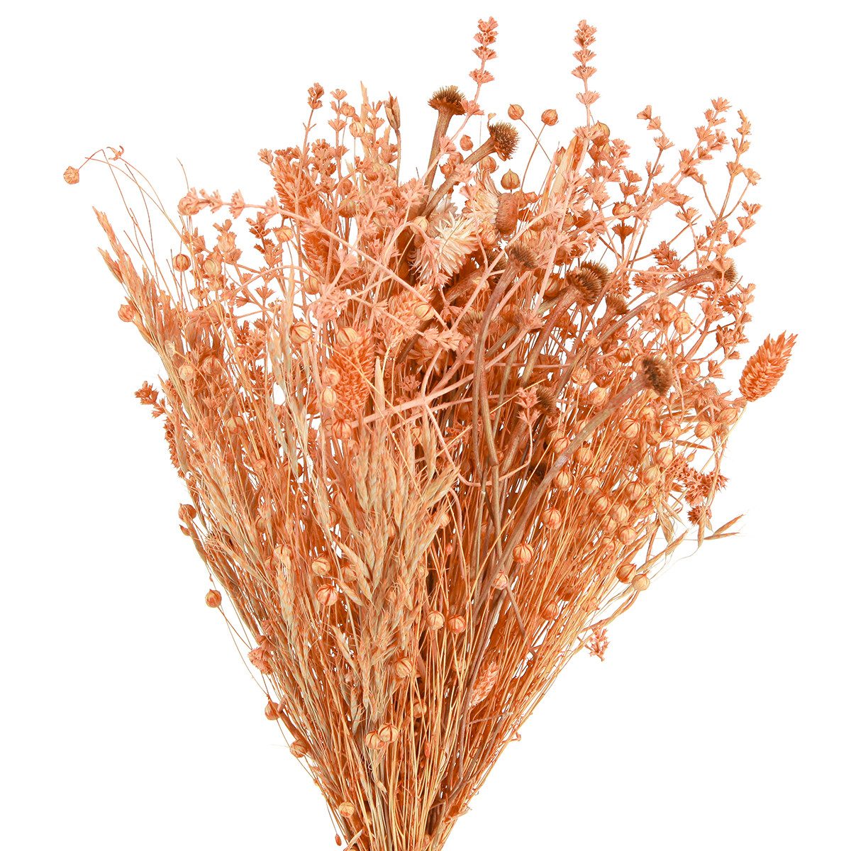 Trockenblume Boho Trockenblumenstrauß Orange Apricot Deko 45cm 80g, Viana, Höhe 45 cm