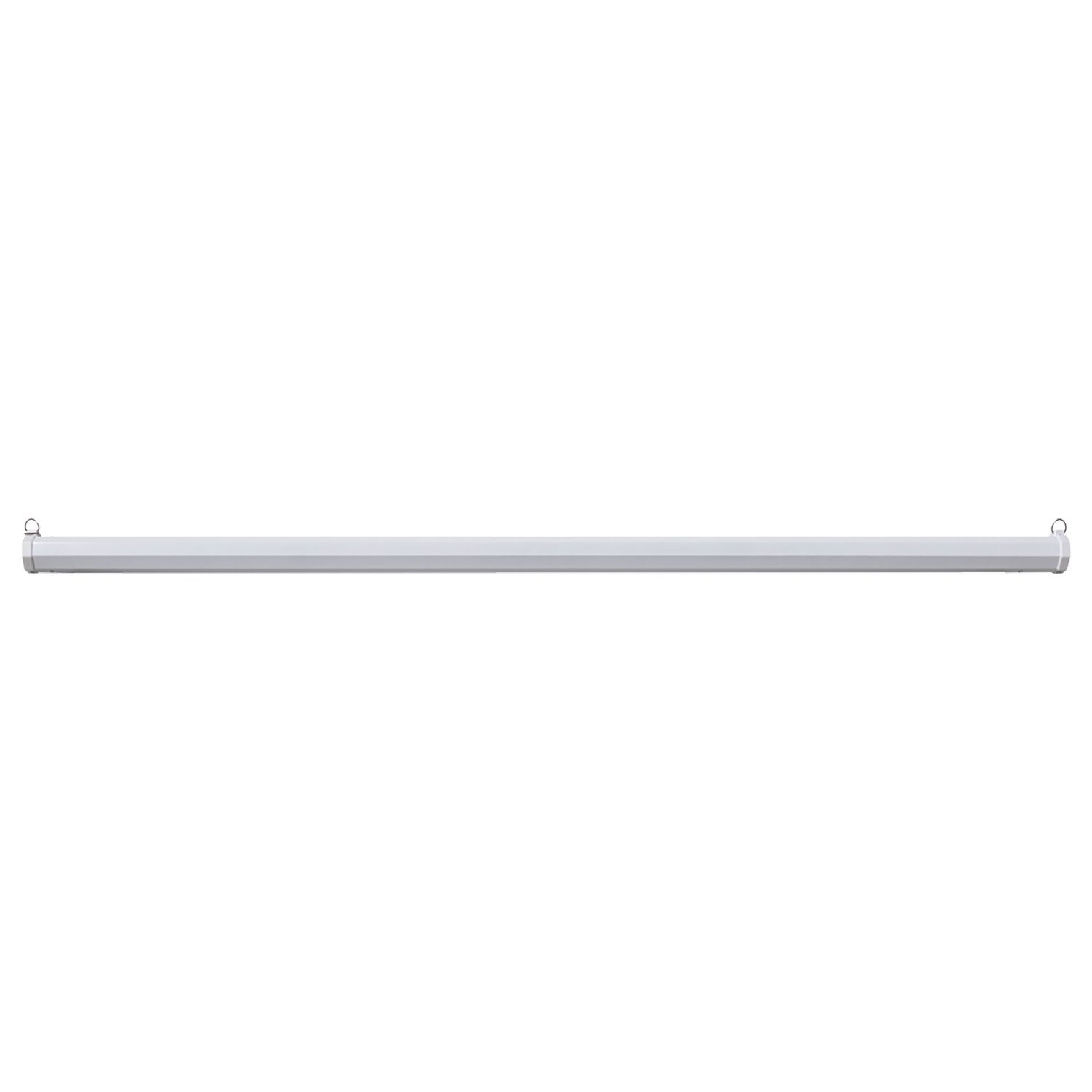 Celexon basic line Motorleinwand (schwarze Rückseite)