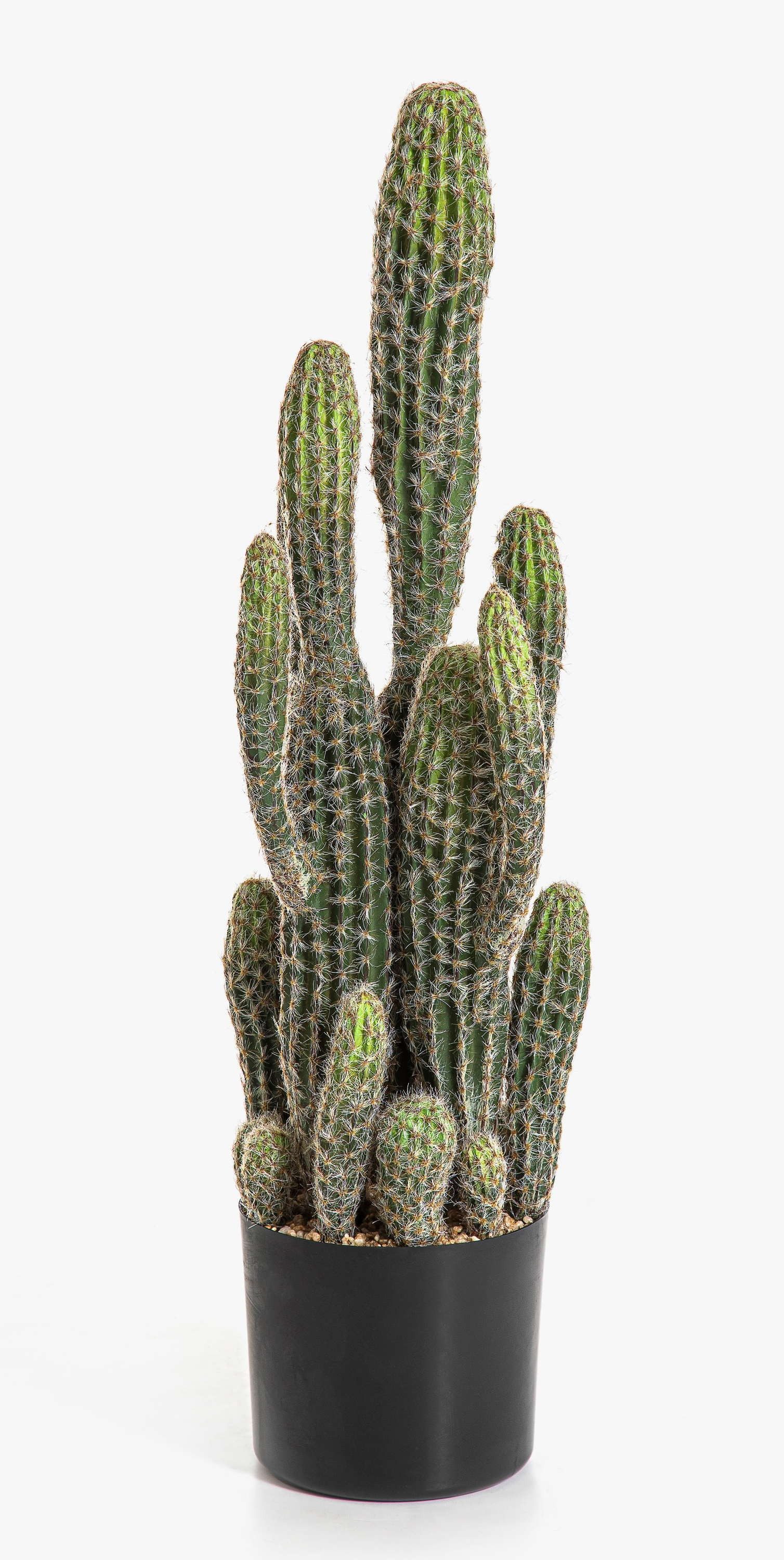 Kunstkaktus Kunst Kaktus San Pedro Farin, grün, 75cm San Pedro Kaktus, artplants, Höhe 75.0 cm