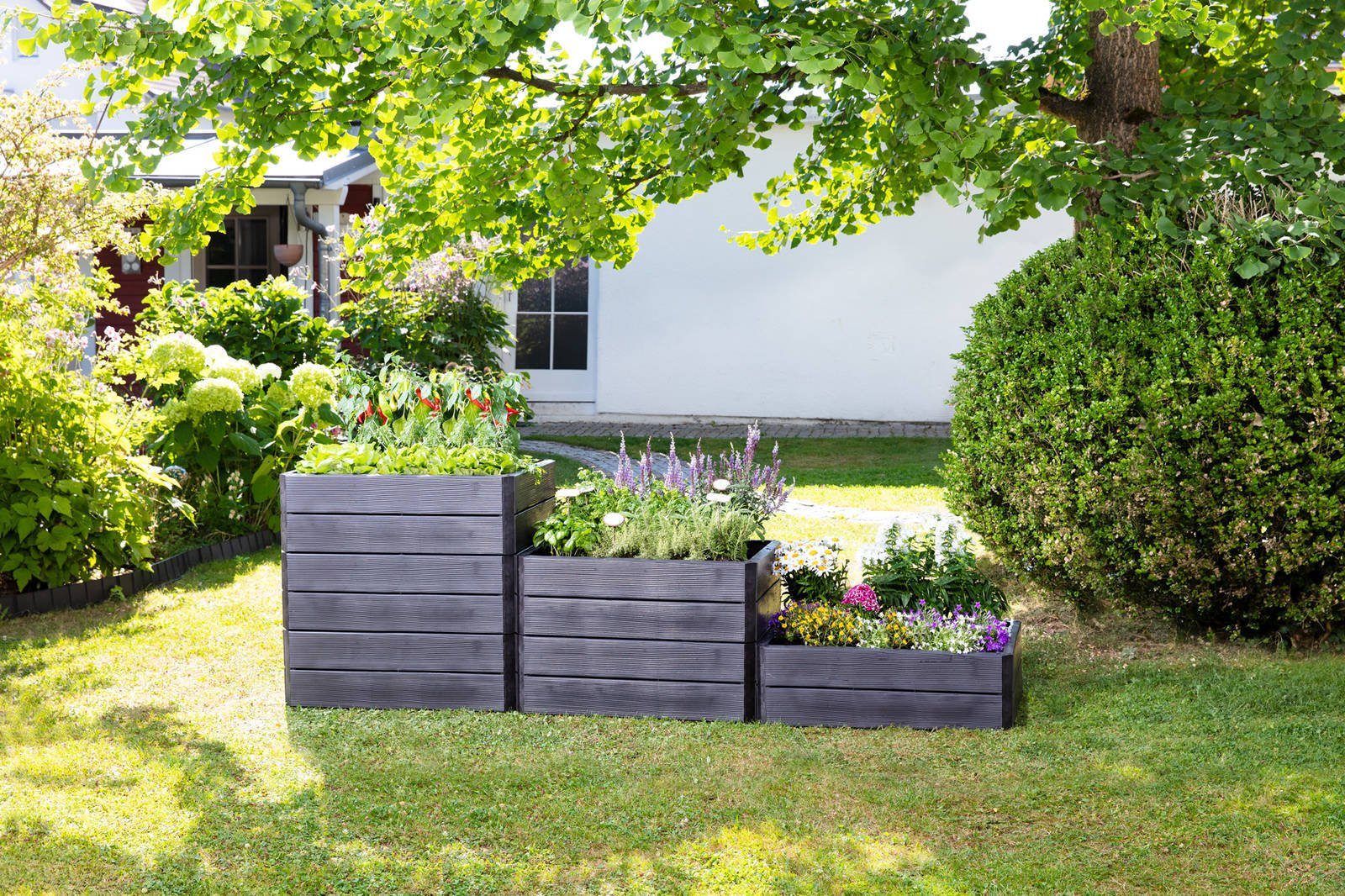 GARANTIA Hochbeet Ergo Quadro M / 645116 (Set, je 4 Elemente mit einer Gesamthöhe von 25 cm), Holzoptik, werkzeuglose Montage, erweiterbar