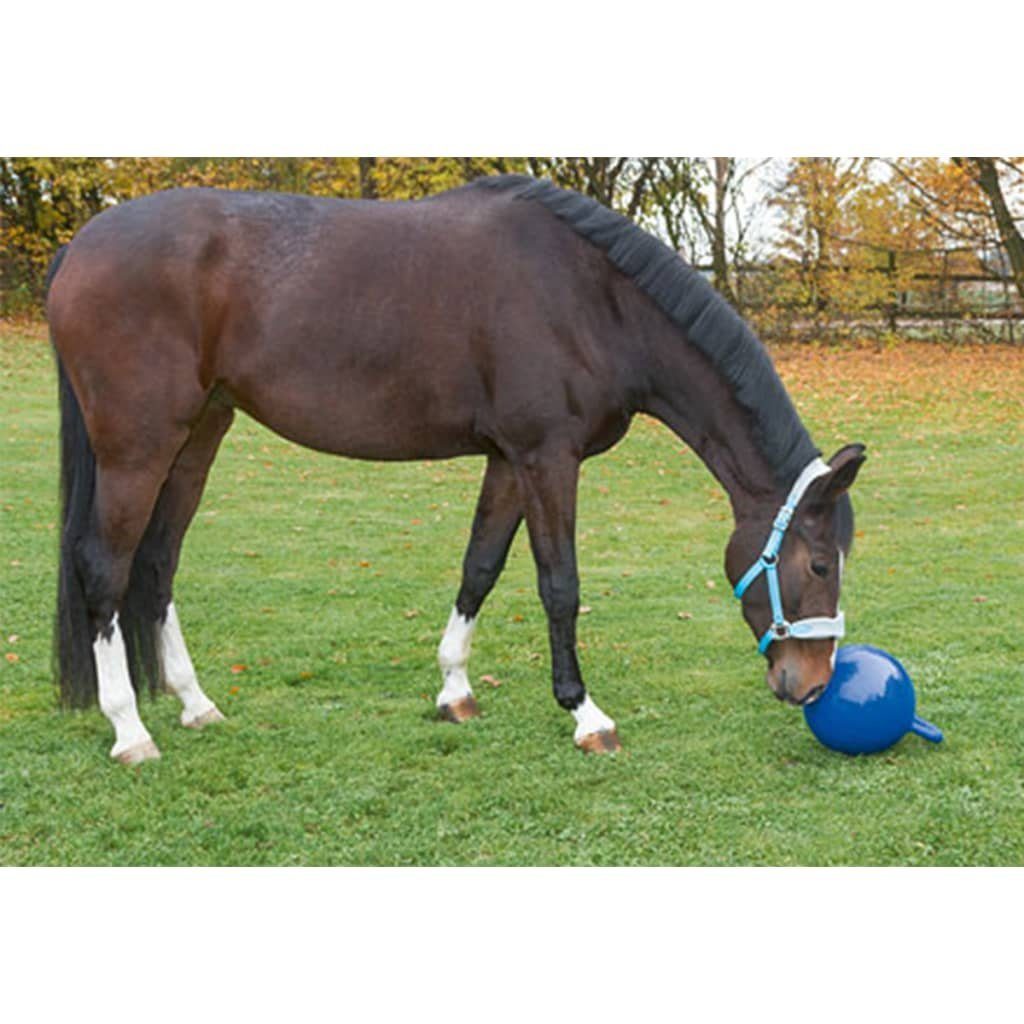 Kerbl LED Flutlichtstrahler Pferde-Spielball Blau 25 32399 cm