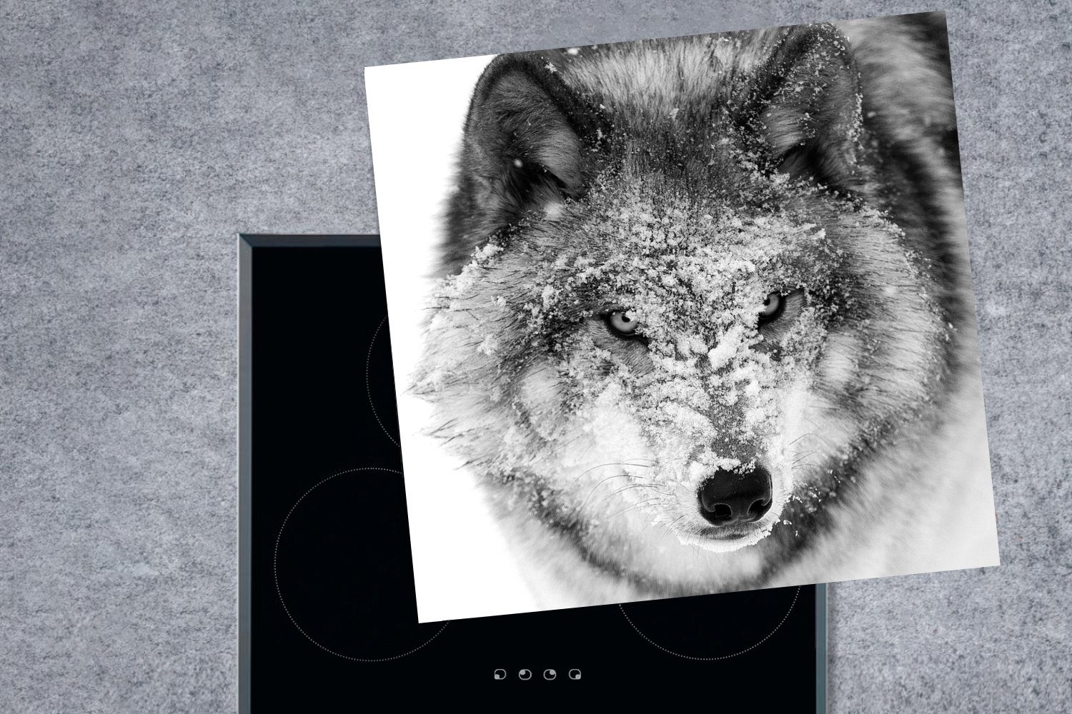 mit tlg), schwarz-weiß, MuchoWow Arbeitsplatte Wolf Kopf in Ceranfeldabdeckung, küche verschneitem 78x78 Vinyl, für Herdblende-/Abdeckplatte (1 cm,