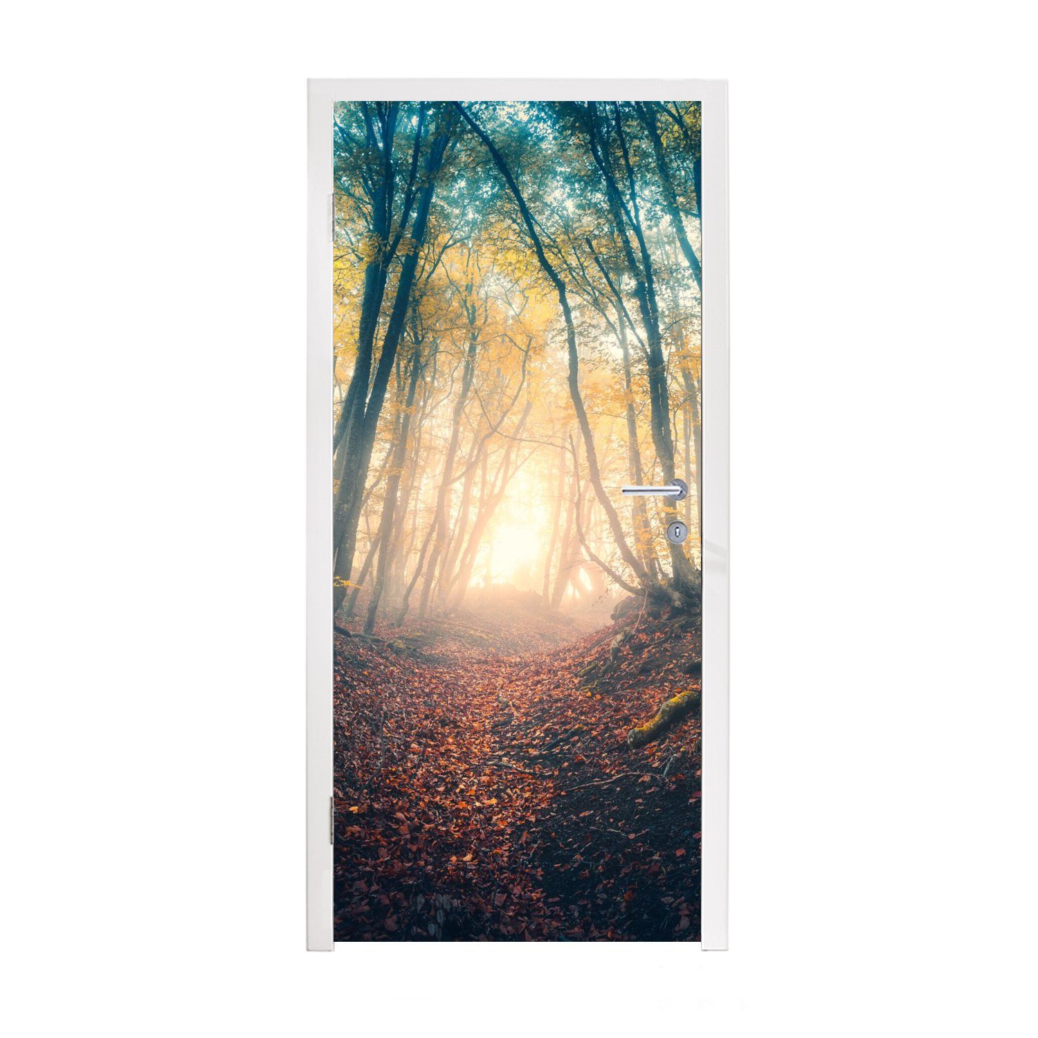 MuchoWow Türtapete Wald Matt, Sonne - für 75x205 Herbst, bedruckt, Nebel cm Fototapete - Türaufkleber, - Tür, (1 St)