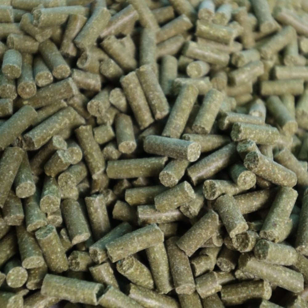 EPONA Tierpräparate Lexa - Amino Muskelaufbau 1,2 kg, Lexa - Amino Muskelaufbau - Aminosäuren-Komplex für die Muskulatur