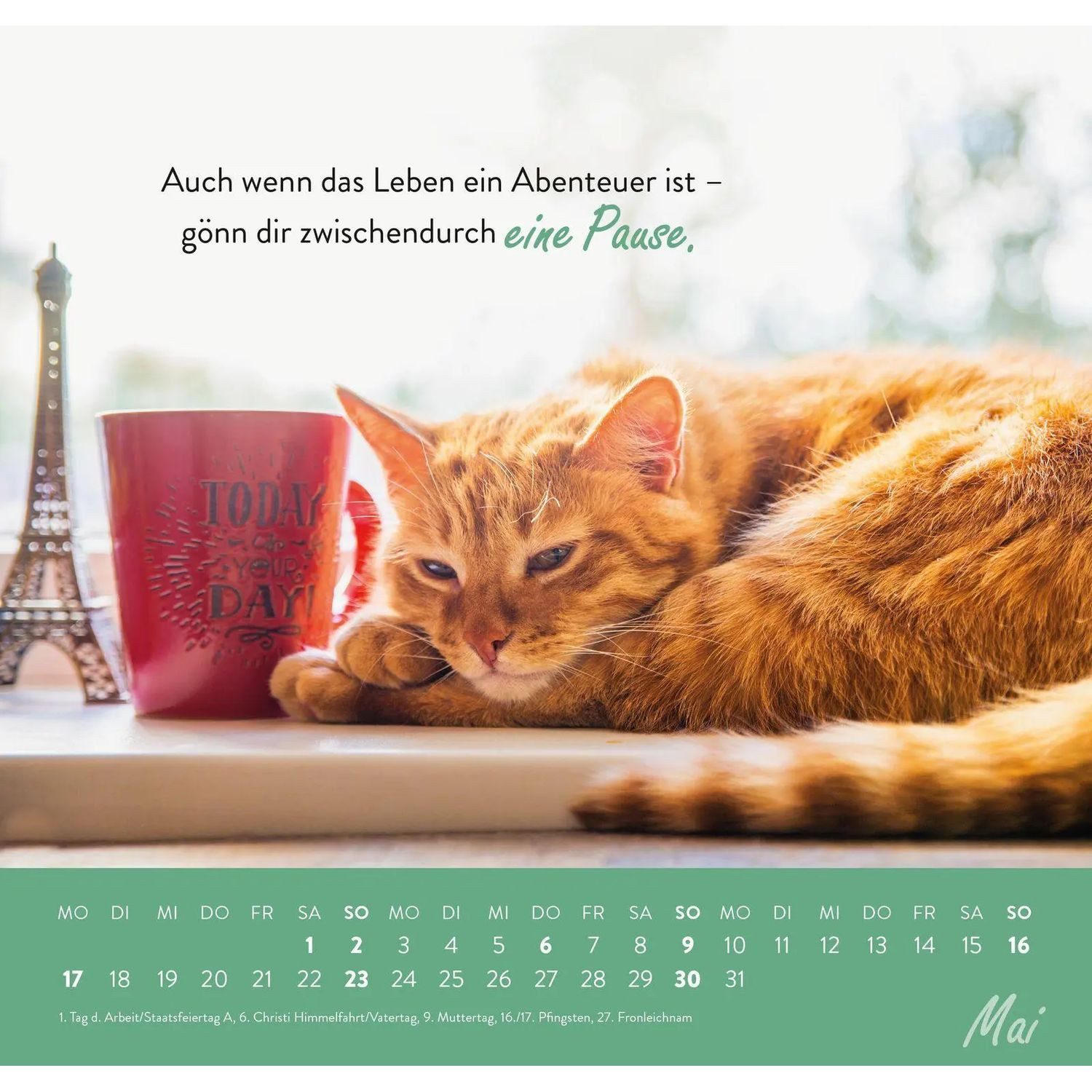 groh Verlag Wandkalender Wandkalender 2027: Einfach mal abhängen