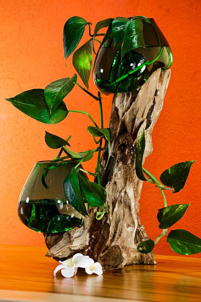 Kinaree Dekofigur Geschmolzenes grünes Glas auf Wurzelholz, 2 Gläser Smaragdgrün (1 St)
