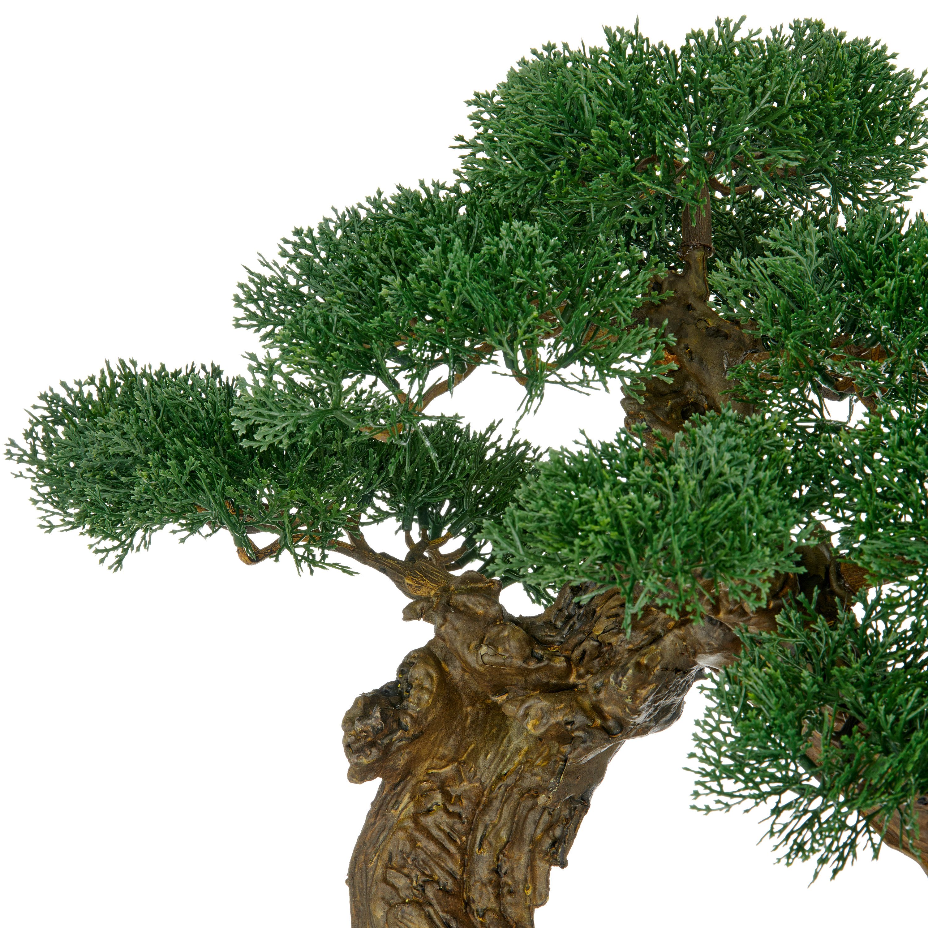 Kunstbonsai Bonsai Zeder, Creativ green, Höhe 80 cm, im besonderen Pflanzge günstig online kaufen