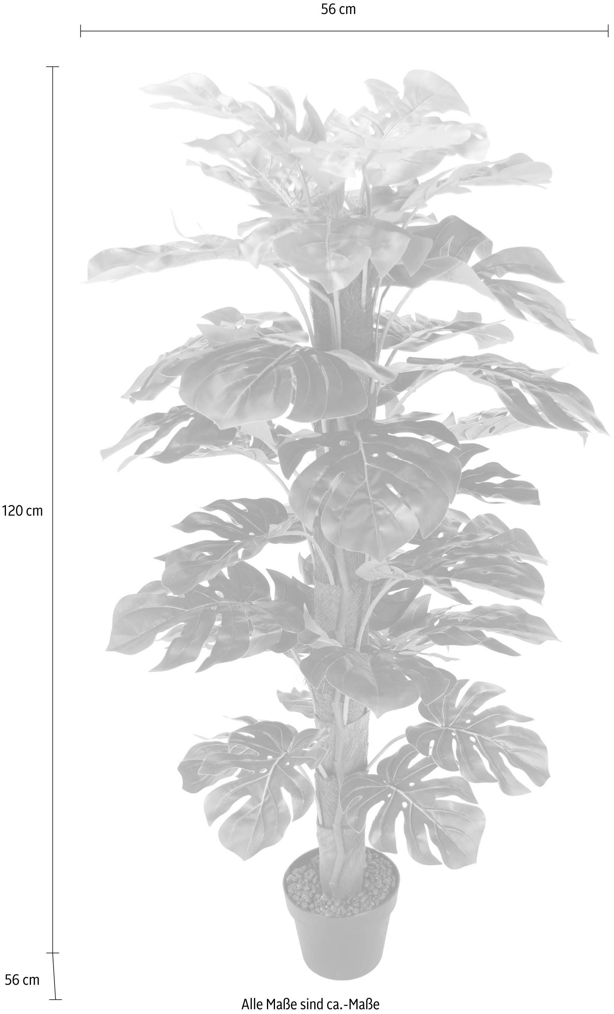 I.GE.A., 120 Höhe Kunstpflanze cm Splitphilopflanze,