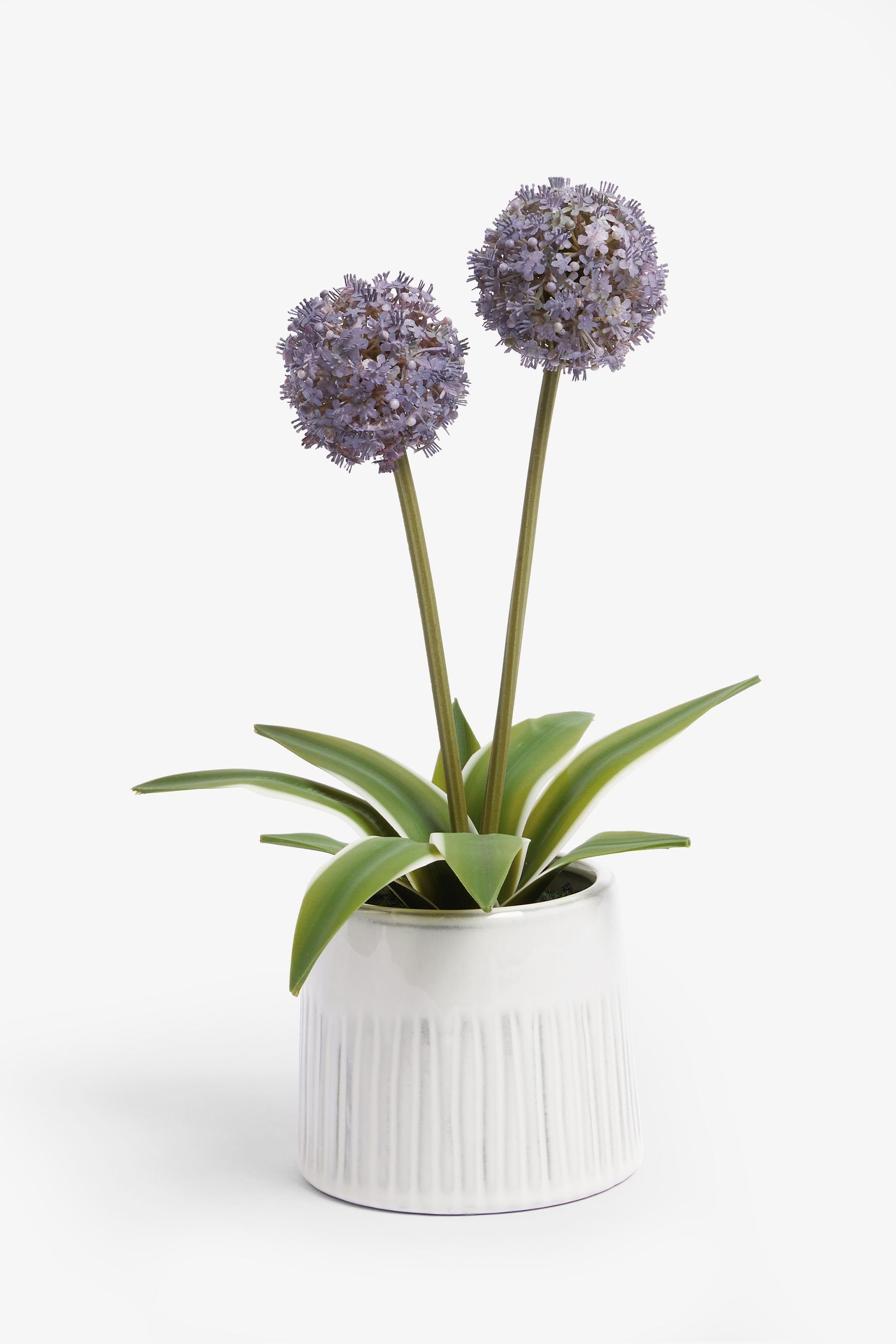 Zimmerpflanze Aster Künstliche Topfpflanze, Künstliche Lilac Purple Next