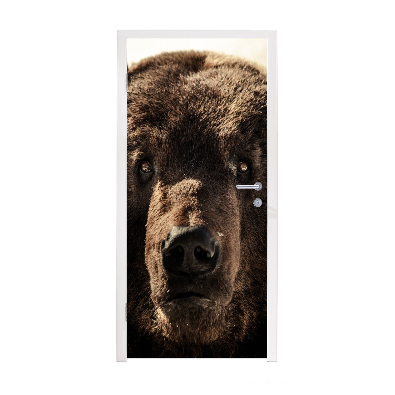 MuchoWow Türtapete Nahaufnahme Braunbär, Matt, bedruckt, (1 St), Fototapete für Tür, Türaufkleber, 75x205 cm | Türtapeten
