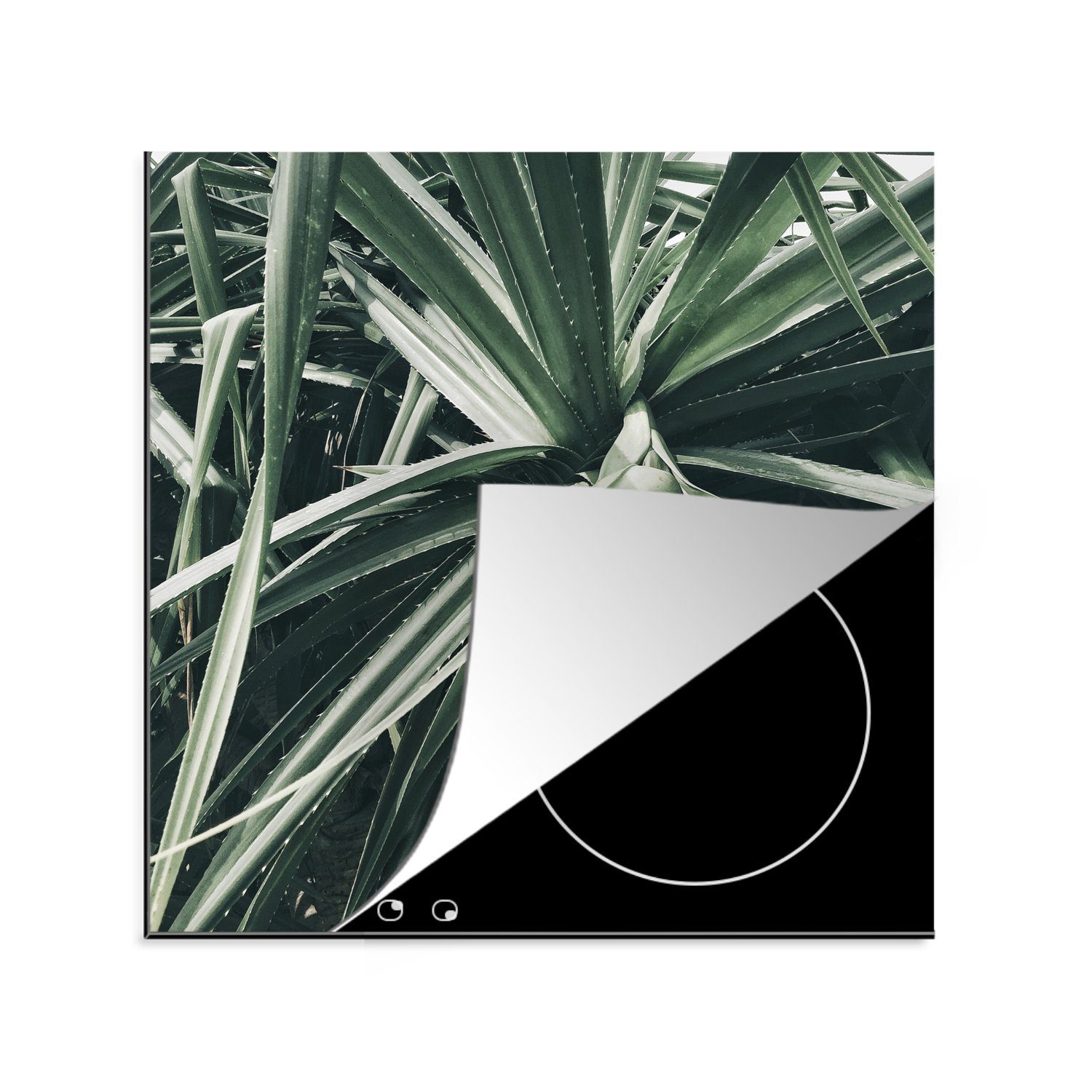 MuchoWow Herdblende-/Abdeckplatte Kaktus - Tropisch - Grün, Vinyl, (1 tlg), 78x78 cm, Ceranfeldabdeckung, Arbeitsplatte für küche