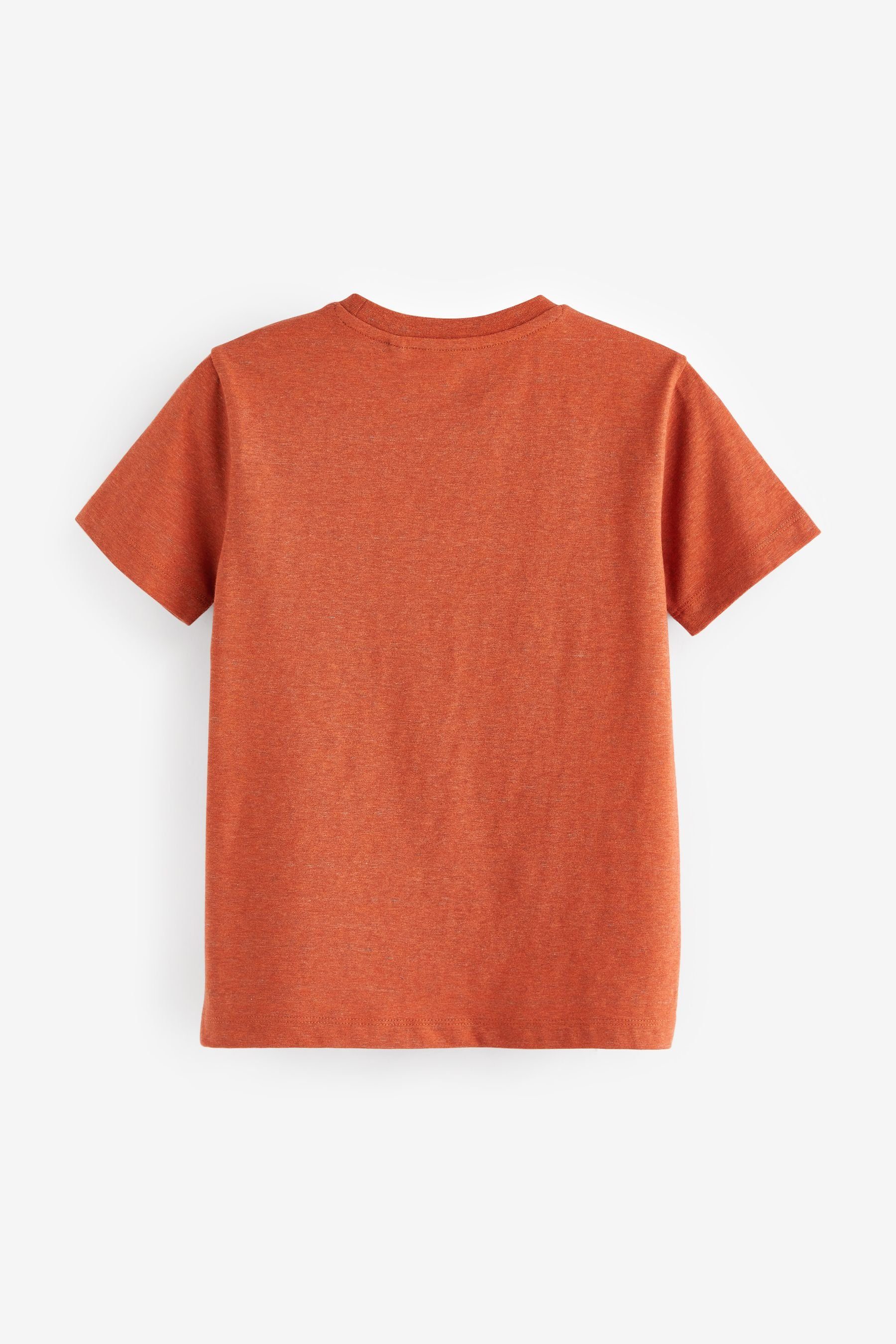 Next T-Shirt Grafik-T-Shirt (1-tlg) Orange Embroidery Planet