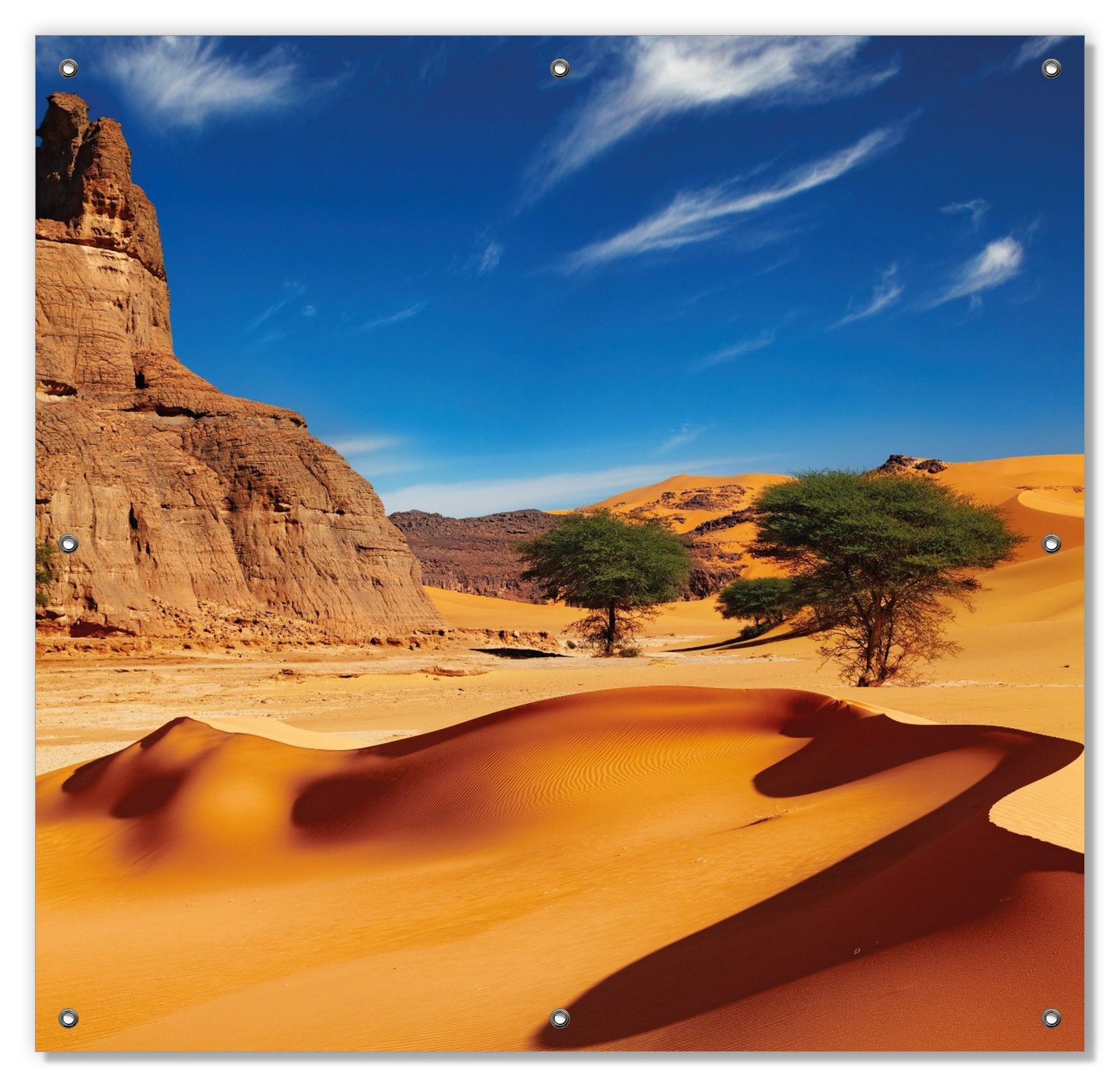 Sonnenschutz In der Wüste Sahara, Wallario, blickdicht, mit Saugnäpfen, wiederablösbar und wiederverwendbar