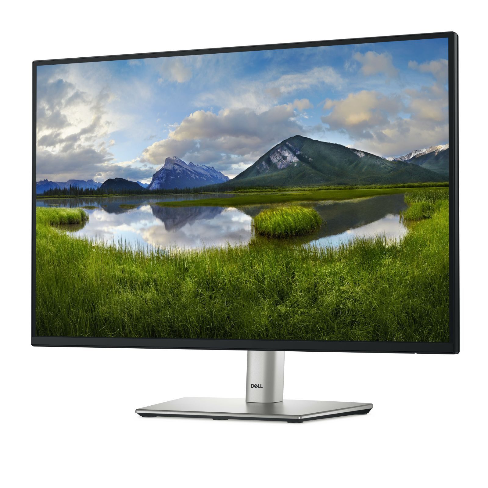 Dell P2425 61,1cm (24) WUXGA IPS Office 16:10 HDMI/DP/USB-C Pivot TFT-Monitor (1920 x 1200 px, WUXGA, 8 ms Reaktionszeit, 100 Hz, IPS, HDCP, Pivot, Höhenverstellbar)