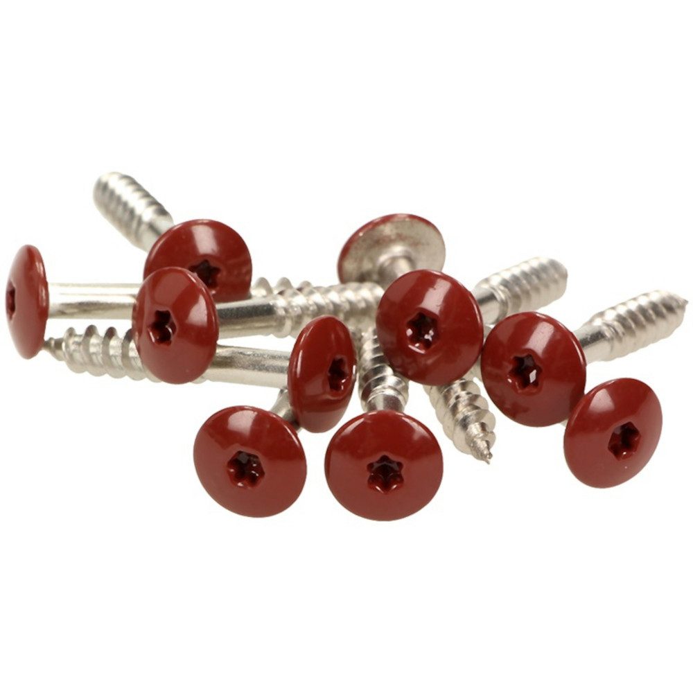 Meisterling® Fassadenschraube INOX, (V4A - 5,5 x 35 mm, Flachkopf Torx T20, 100 Stk), Oxidrot
