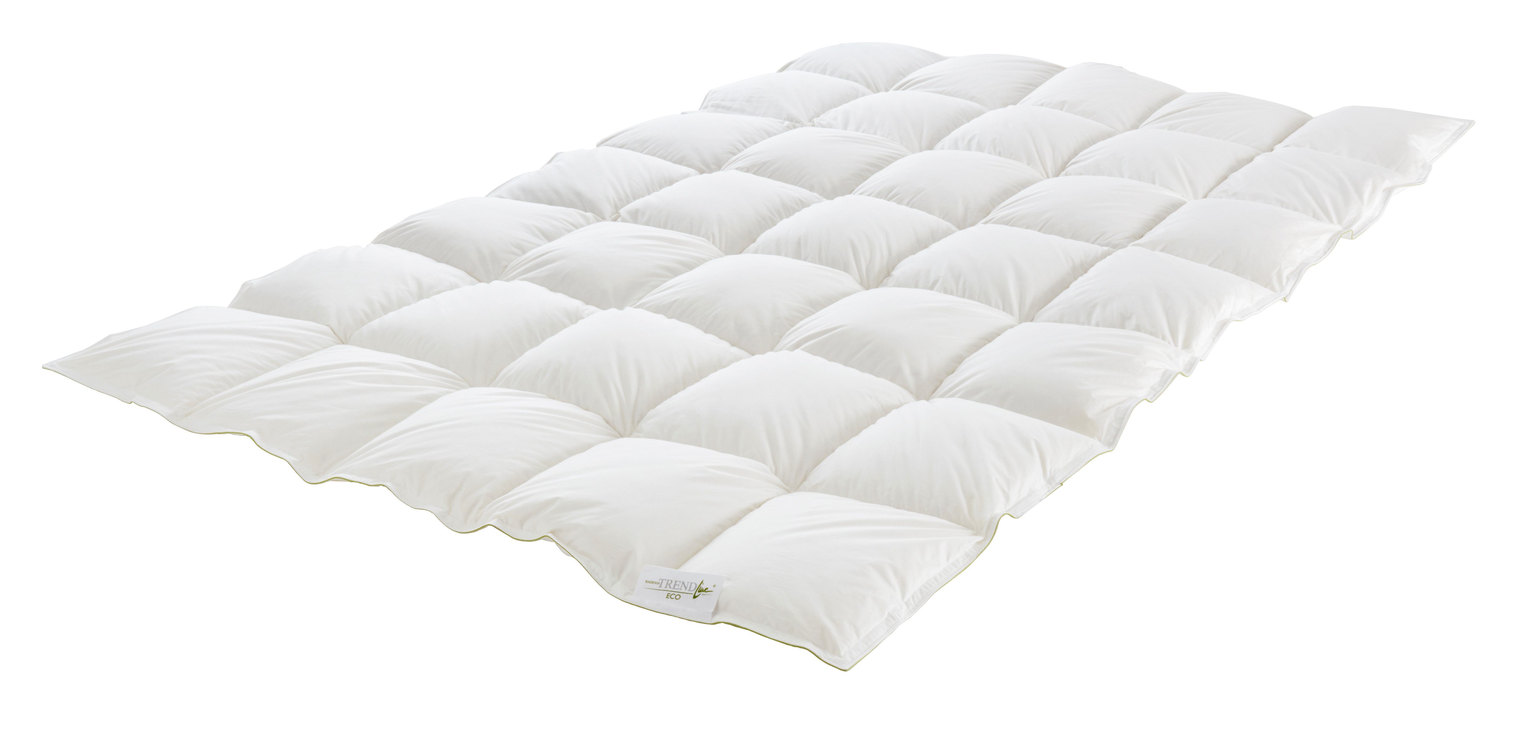 Badenia Trendline Daunenbettdecke Badenia Trendline® Eco, Füllung: 90% Daun günstig online kaufen