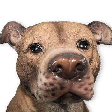 colourliving Gartenfigur Hunde Figur Bullterrier sitzend Terrier Figur, (detailgetreue Darstellung, liebevoll verarbeitet), handbemalt, 33 cm hoch, Möbelschoner unter den Füßen