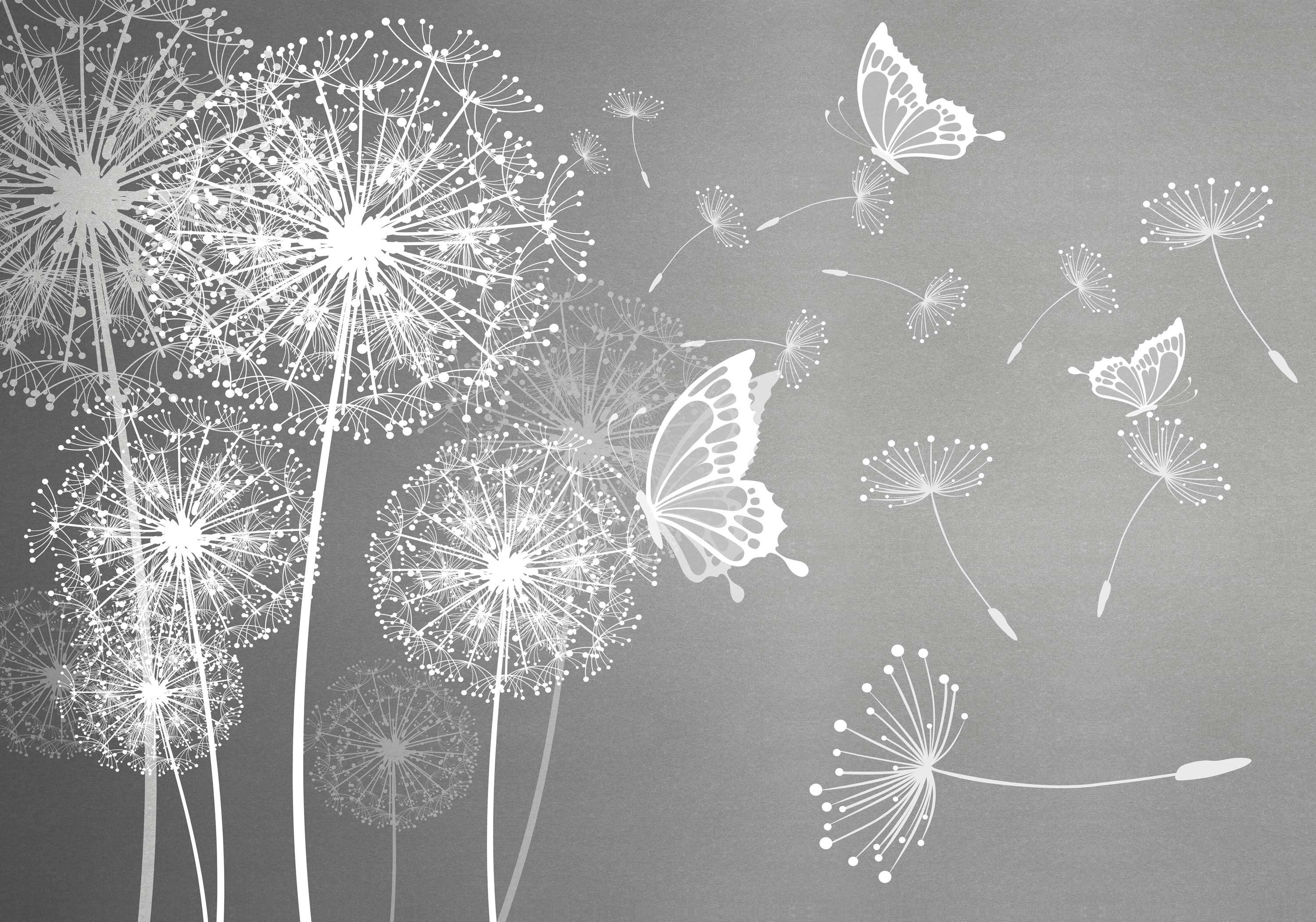 wandmotiv24 Fototapete Pusteblumen mit Schmetterlingen, glatt, Wandtapete, Motivtapete, matt, Vliestapete