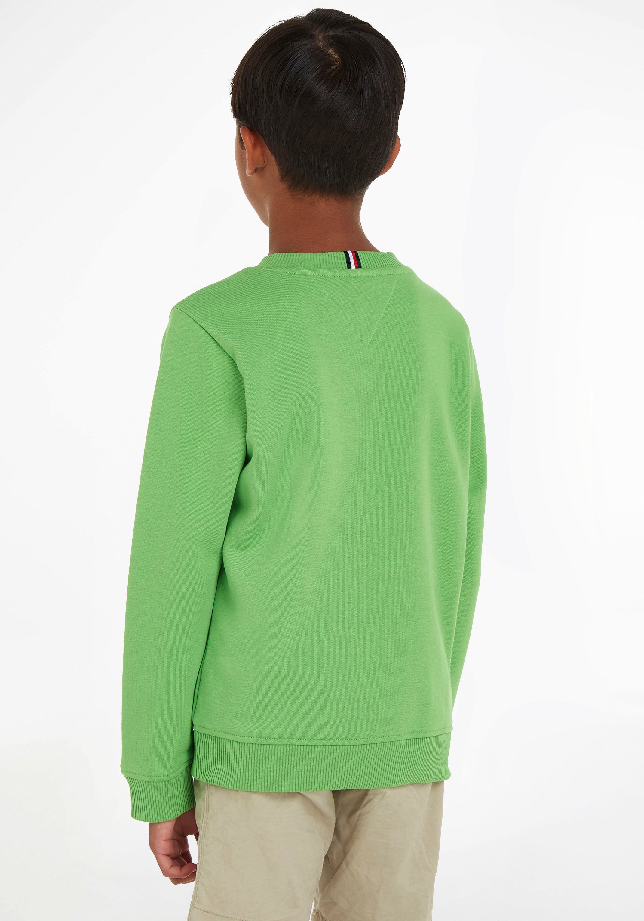 SWEATSHIRT TH Hilfiger Logoschriftzug LOGO Spring-Lime mit Tommy Sweatshirt