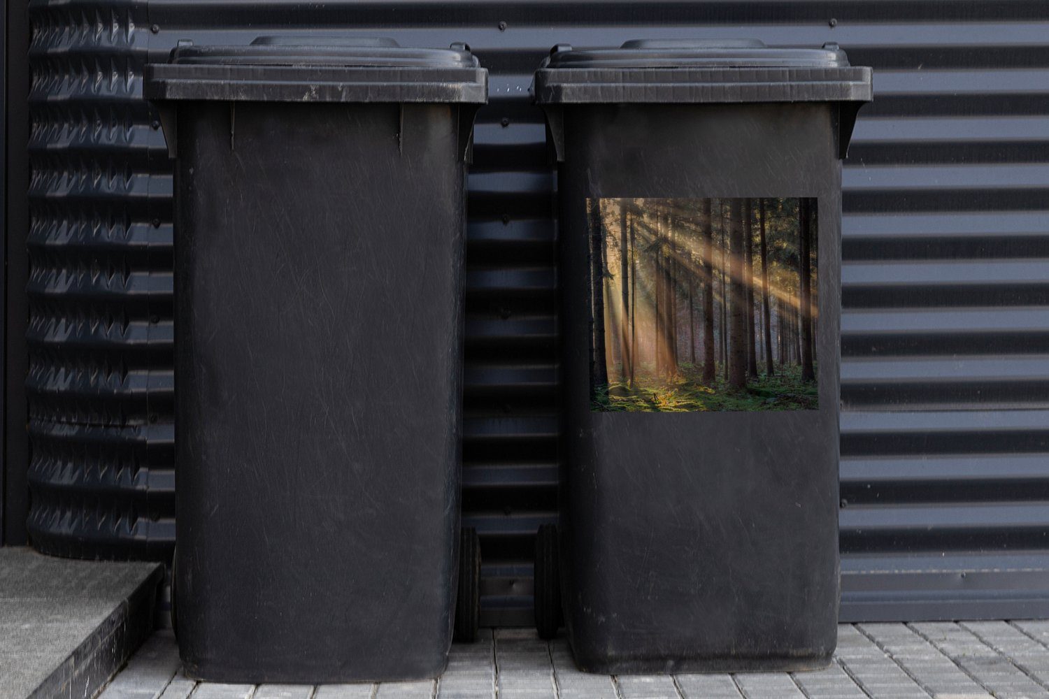 St), Pflanzen Container, Bäume Mülleimer-aufkleber, Abfalbehälter MuchoWow (1 Wald - Mülltonne, Sticker, Wandsticker - Sonne -