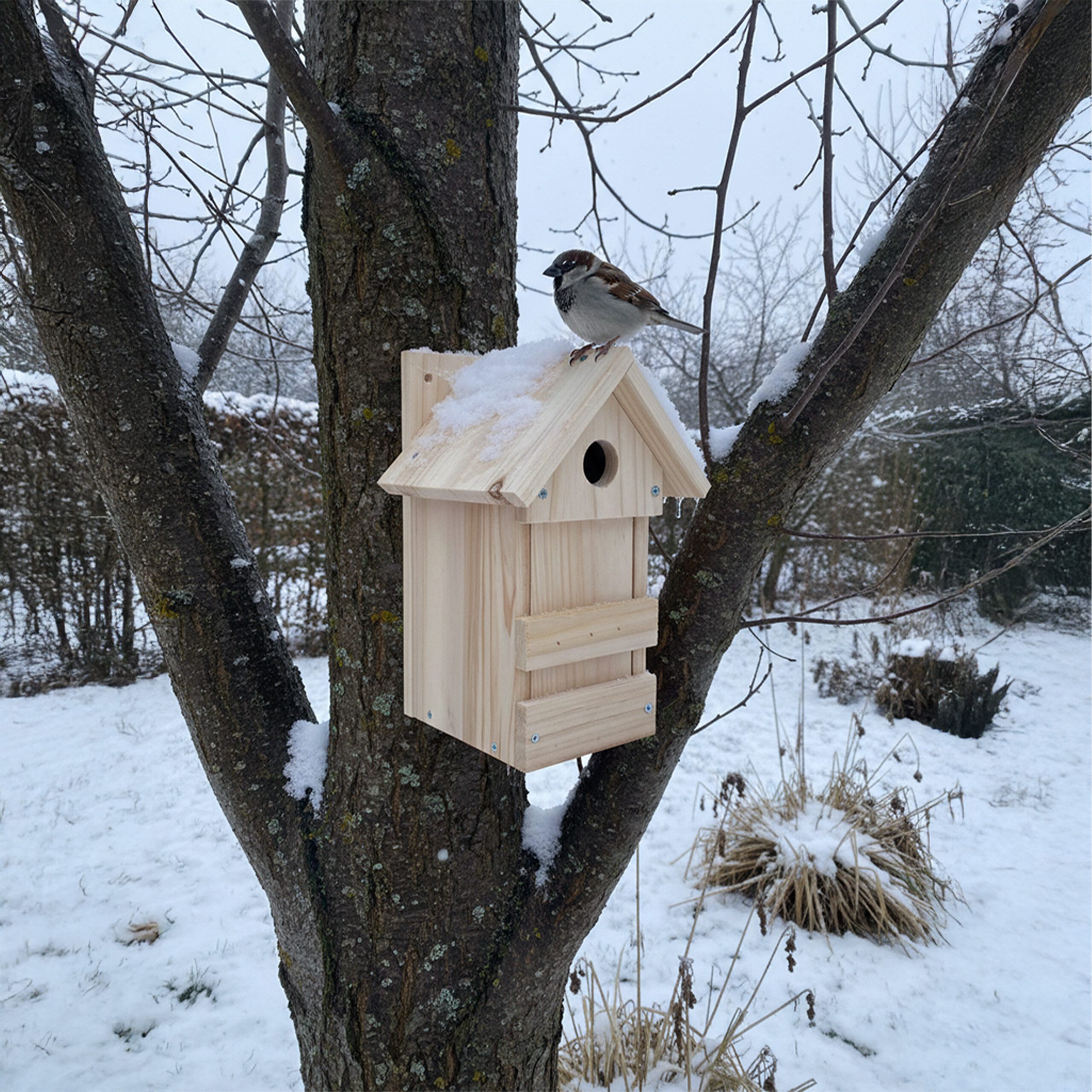 relaxdays Nistkasten DIY Nistkasten im 2er Set