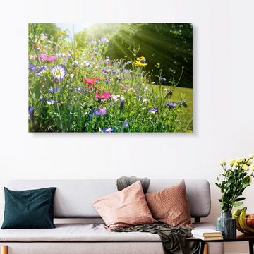 Posterlounge Acrylglasbild Lichtspielart, Auf einer sonnigen Wildblumenwiese, Fotografie