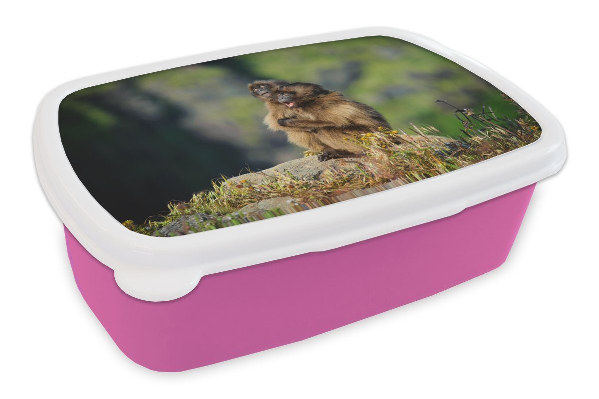 MuchoWow Lunchbox Affen - Pflanzen - Steine - Familie, Kunststoff, (2-tlg), Brotbox für Erwachsene, Brotdose Kinder, Snackbox, Mädchen, Kunststoff rosa