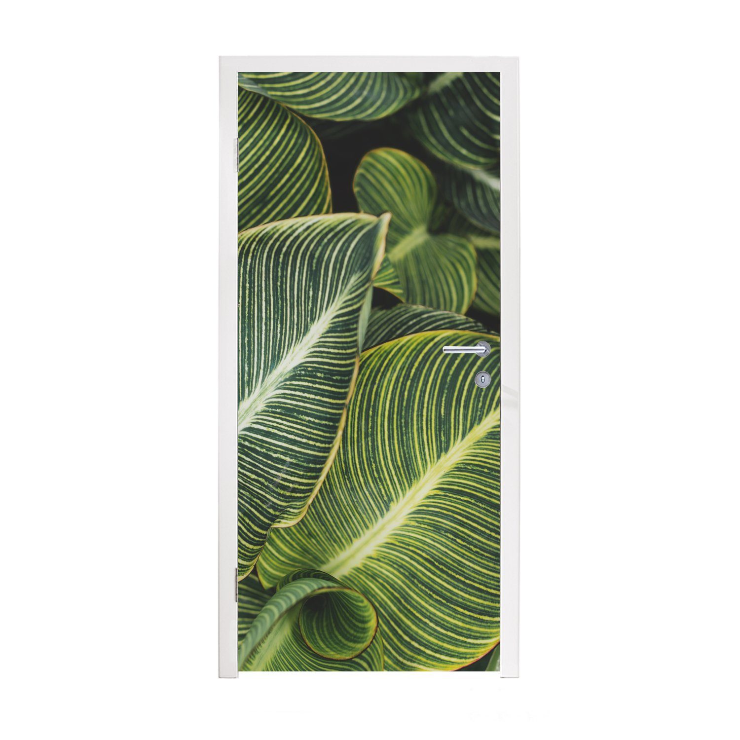 MuchoWow Türtapete Blätter - Pflanze - Weiß, Matt, bedruckt, (1 St), Fototapete für Tür, Türaufkleber, 75x205 cm | Türtapeten