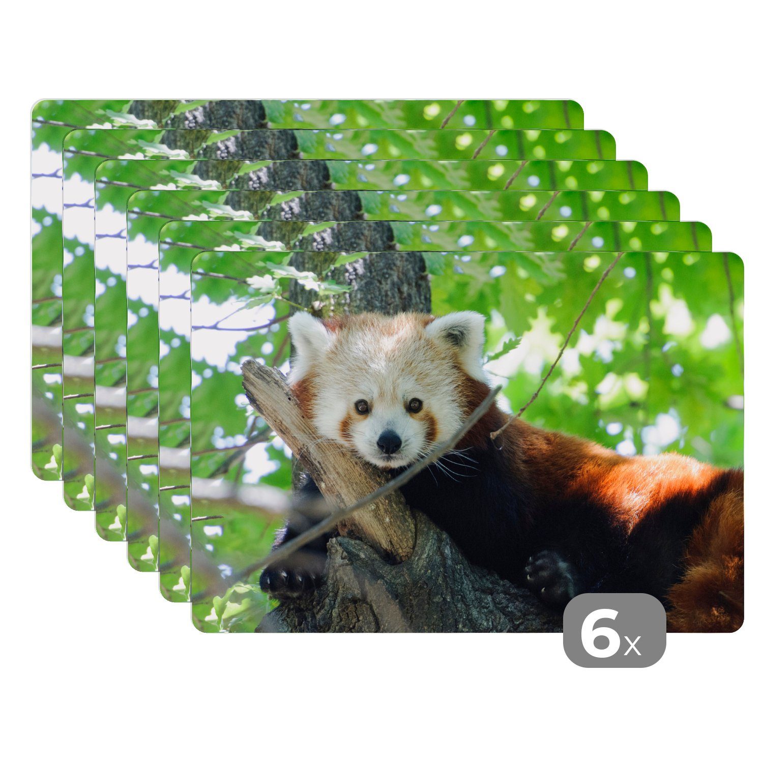 Platzset, Roter Panda - Baum - Grün, MuchoWow, (6-St), Platzset, Platzdecken, Platzmatte, Tischmatten, Schmutzabweisend