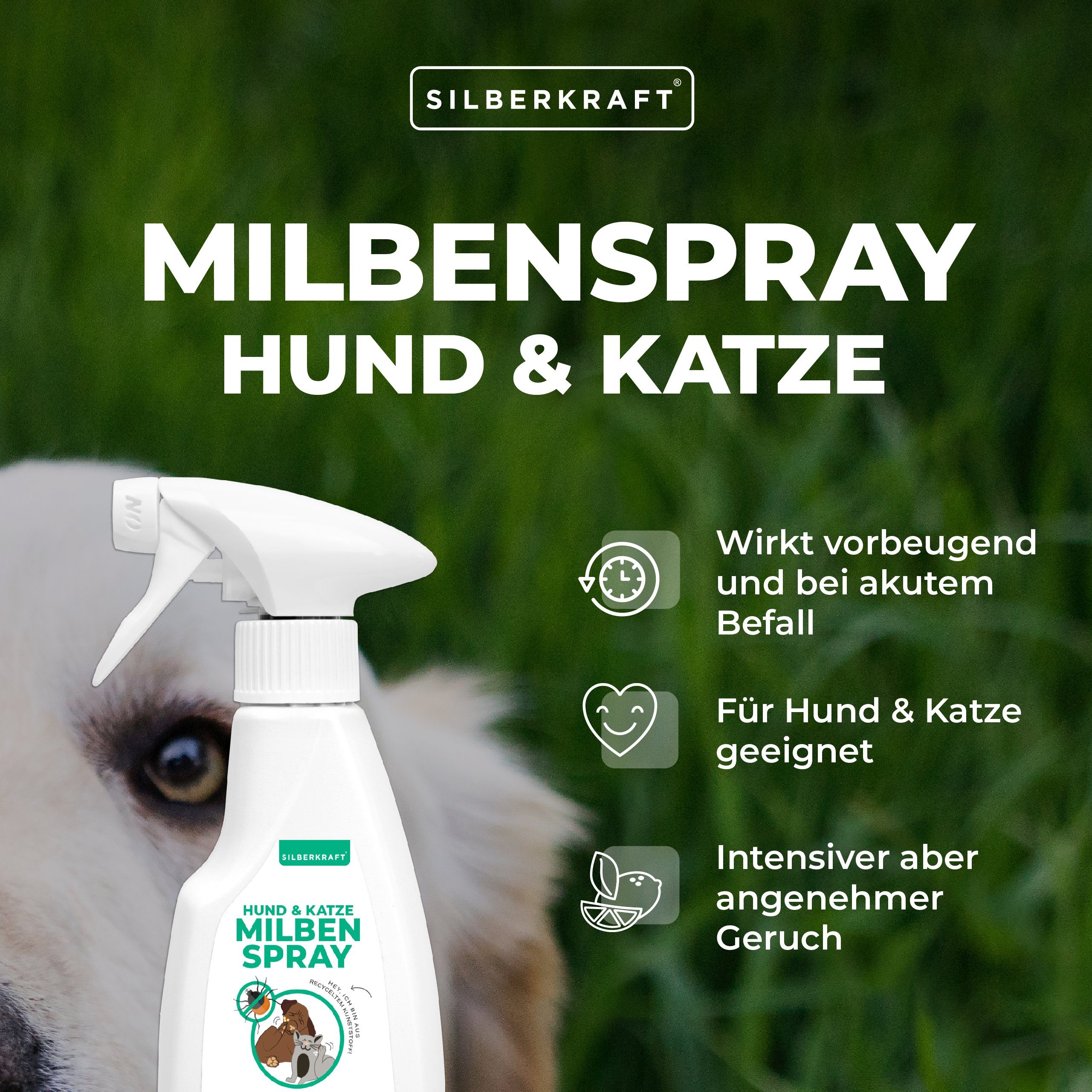 Thumbnail - Silberkraft Insektenspray Milbenspray für Hunde & Katzen, 250 ml, 2-St.
