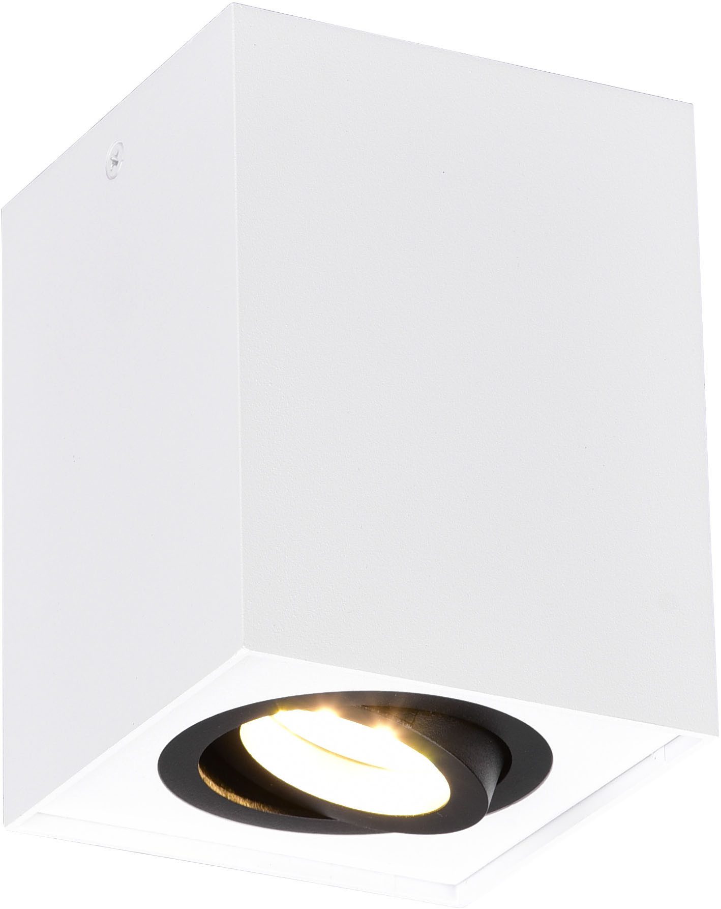 TRIO Leuchten Deckenleuchte BISCUIT, Deckenstrahler exkl 1xGU10 max 35W Lichtkegel schwenkbar, Leuchtmittel wechselbar, warmweiß - kaltweiß, GU10 Strahler einflammig Leuchtmittel wechselbar Aufbauspot Flur Küche