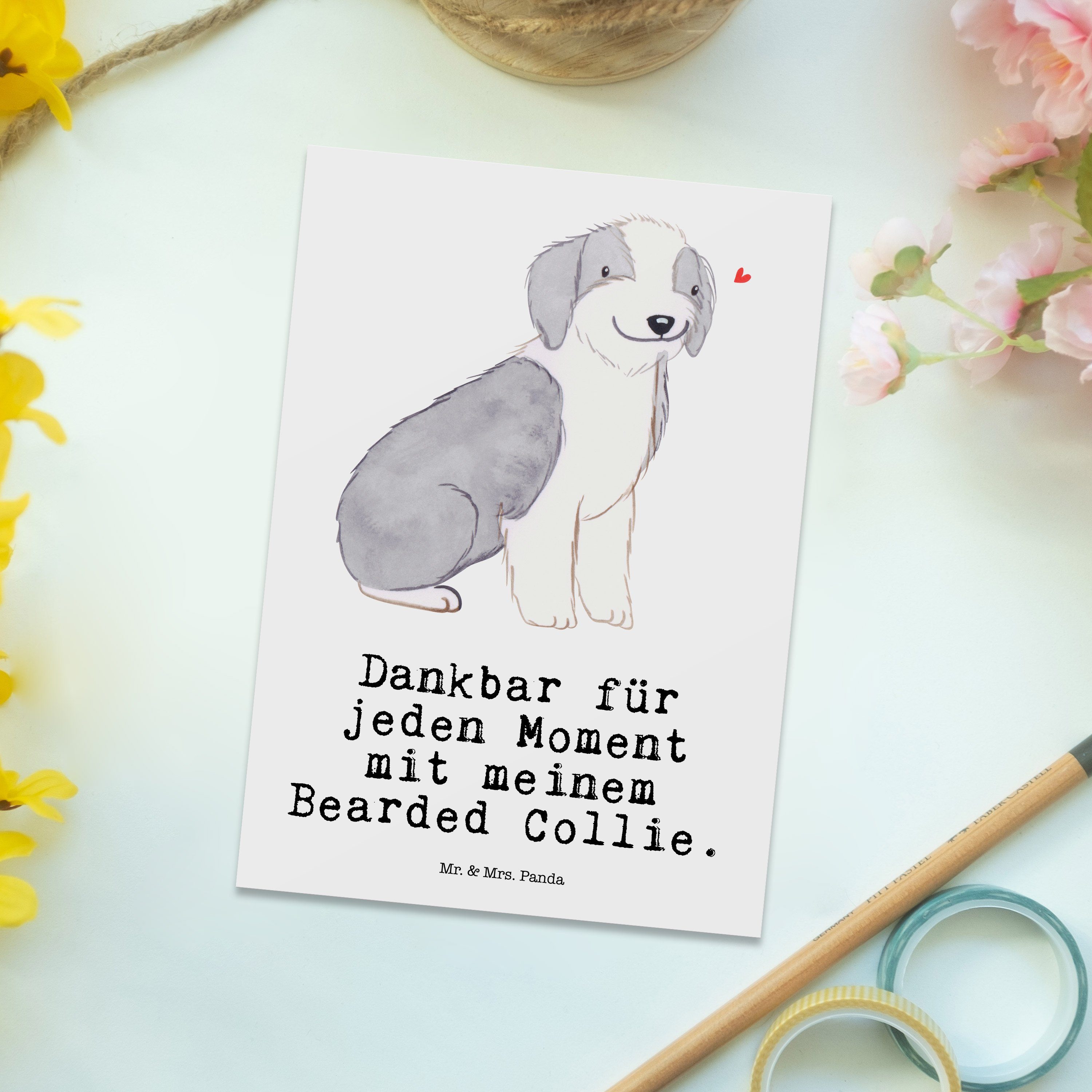 Collie Bearded & Geschenk, Weiß Geschenkkarte, - br Postkarte Panda - Moment Mr. Grußkarte, Mrs.