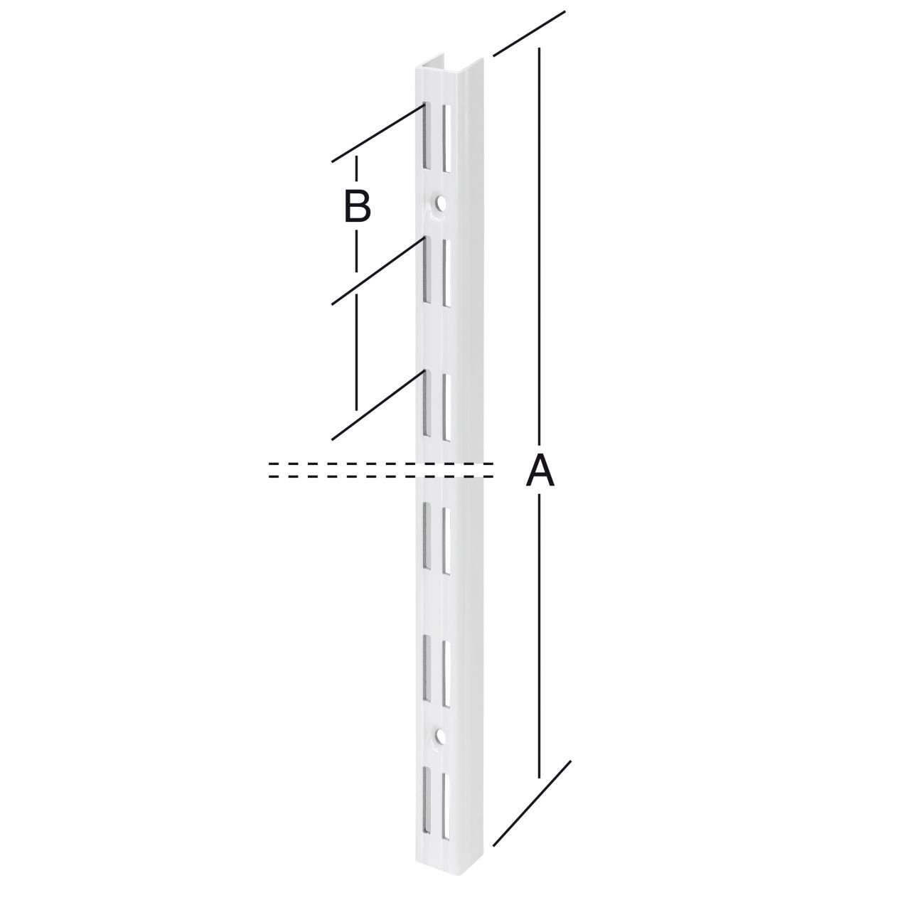 Trend Line Regaleinsatz TrendLine Wandschiene 2-reihig günstig online kaufen